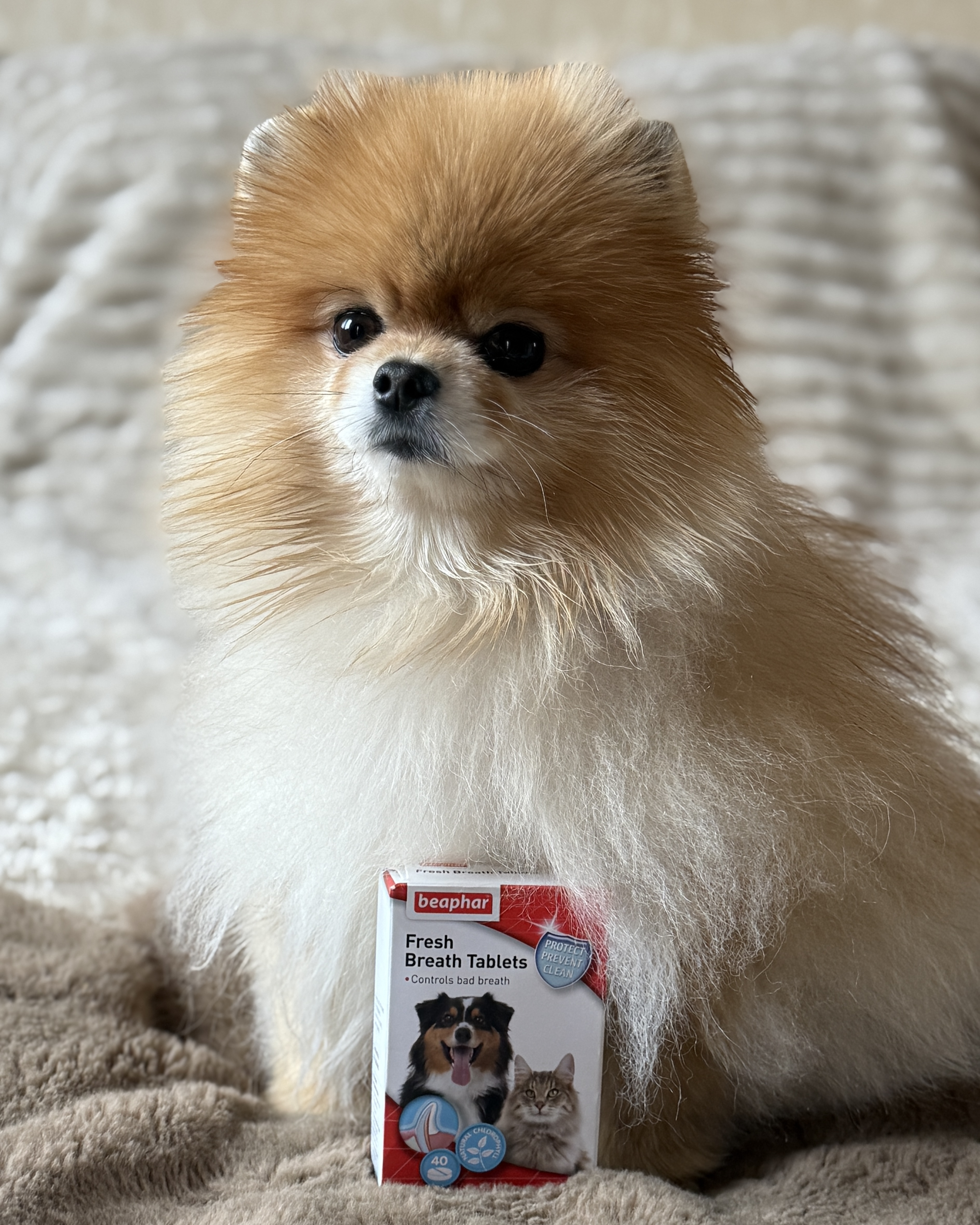 Friss lehelet tabletta