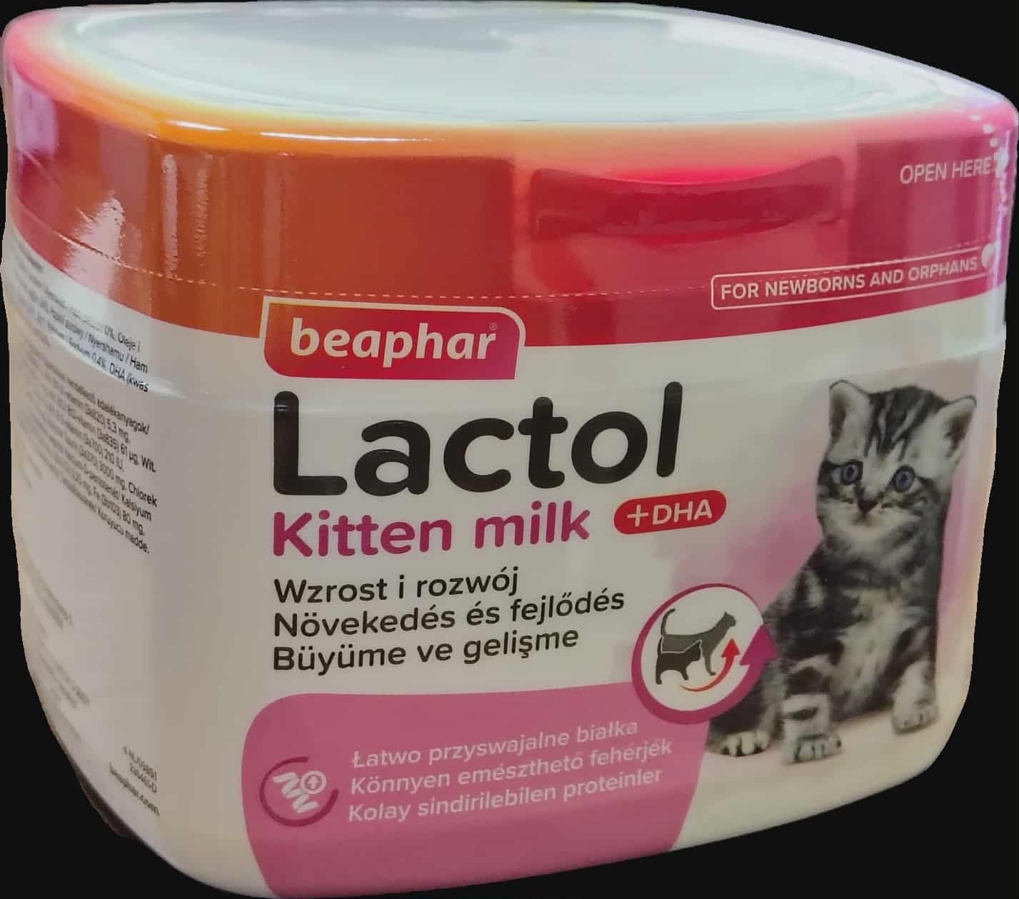 Lactol Kitty tejpor