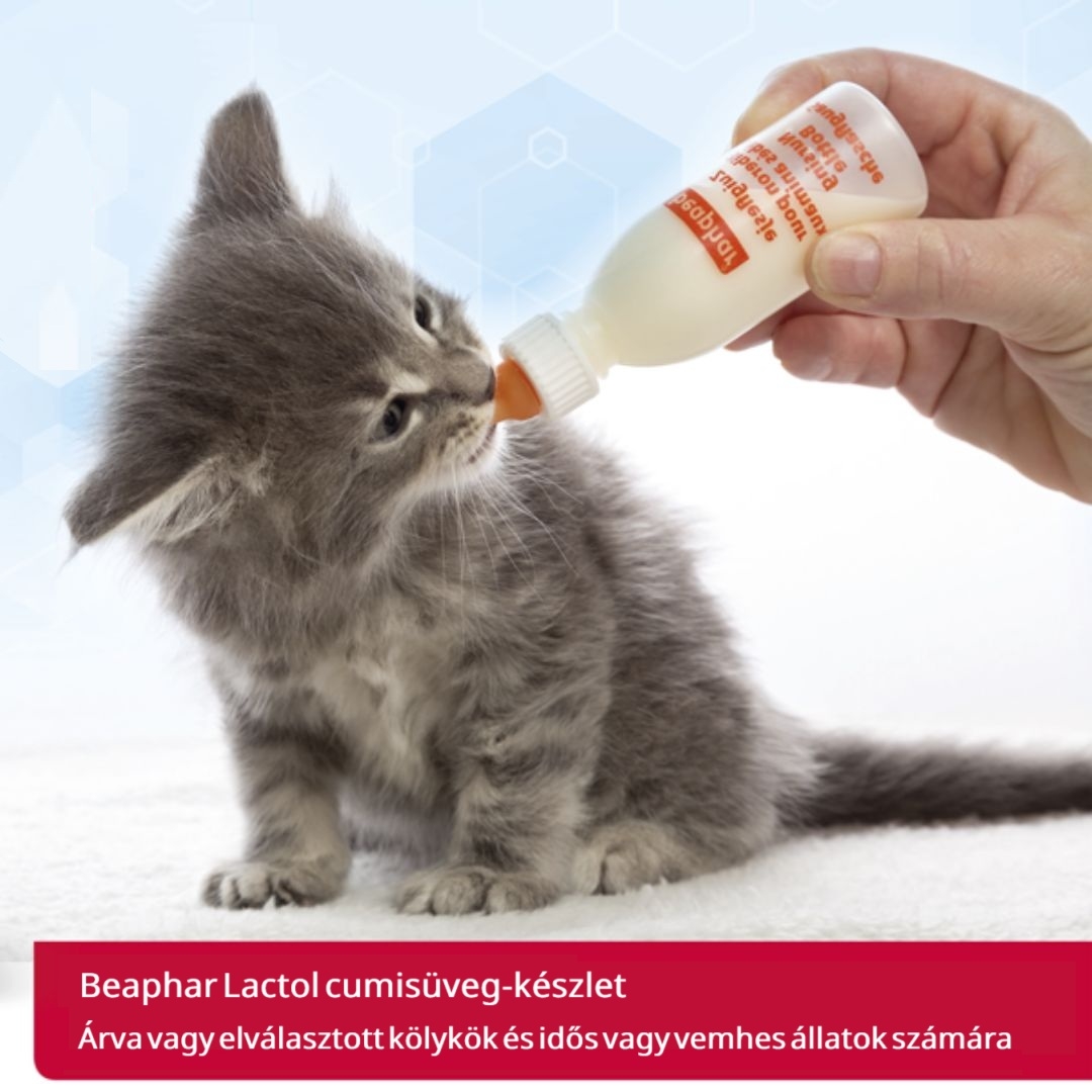 Lactol cumisüveg-készlet