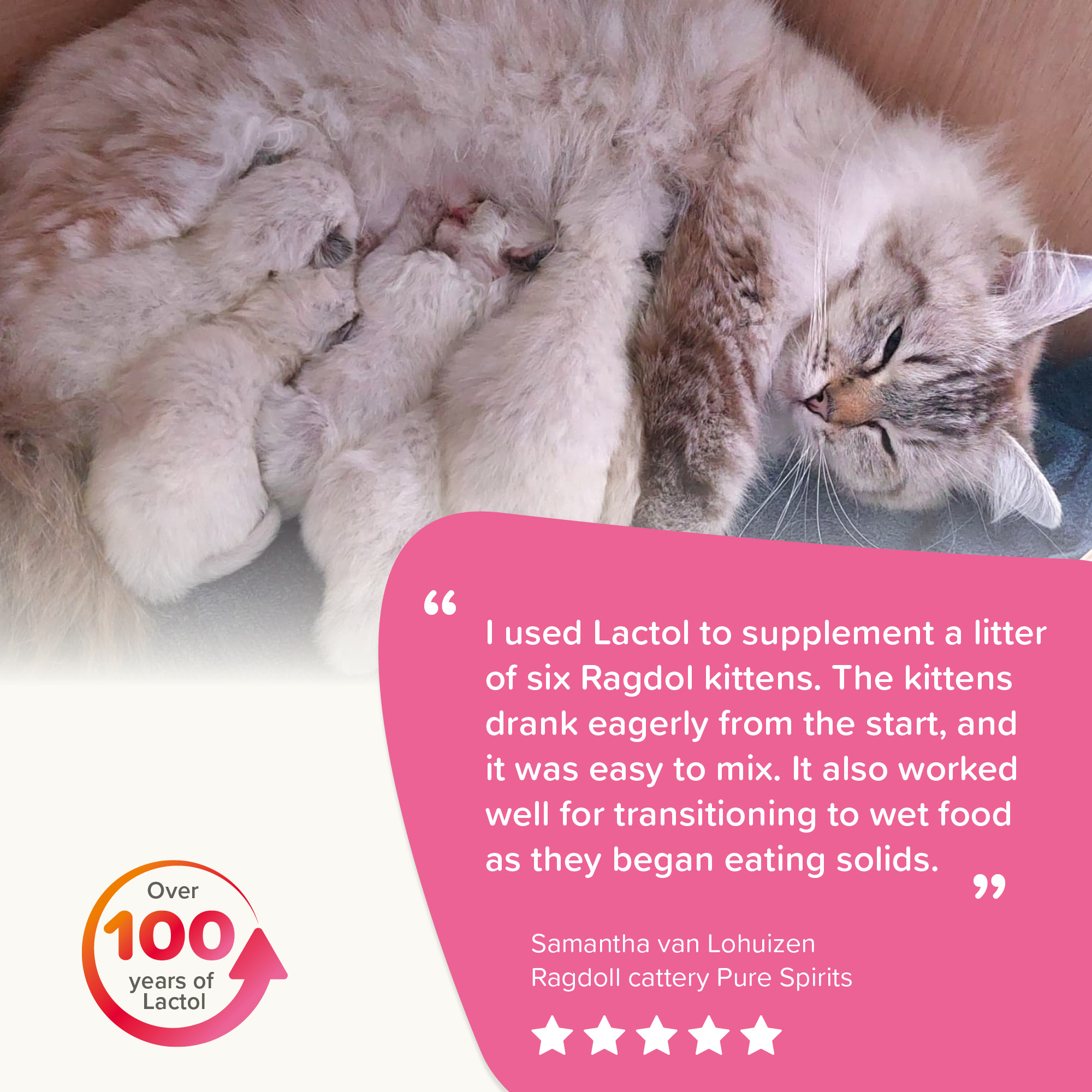 Beaphar Lactol Milk Replacer for Kittens 500g