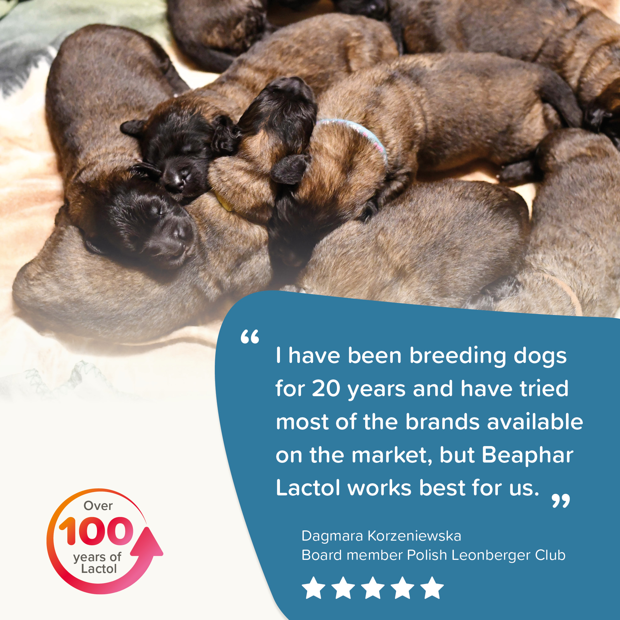 Beaphar Lactol Milk Replacer for Puppies 500g