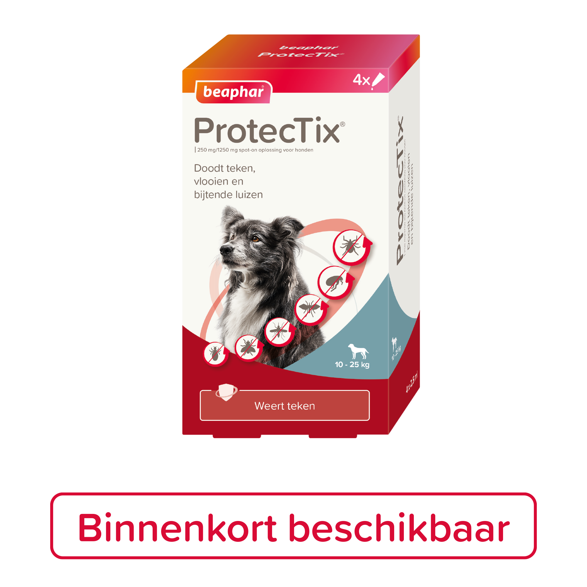 Beaphar ProtecTix® hond 10-25kg 4 pipetten