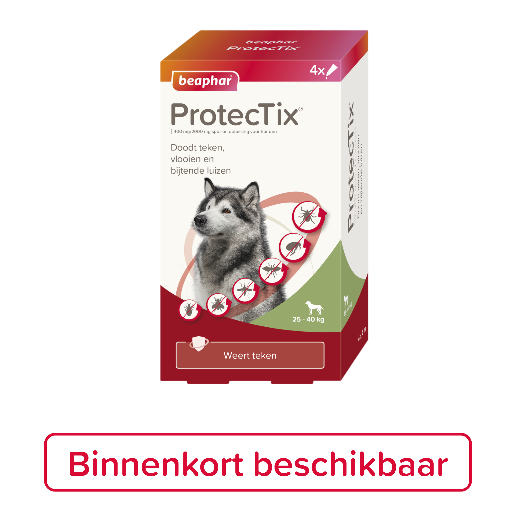 Beaphar ProtecTix® hond 25-40kg 4 pipetten