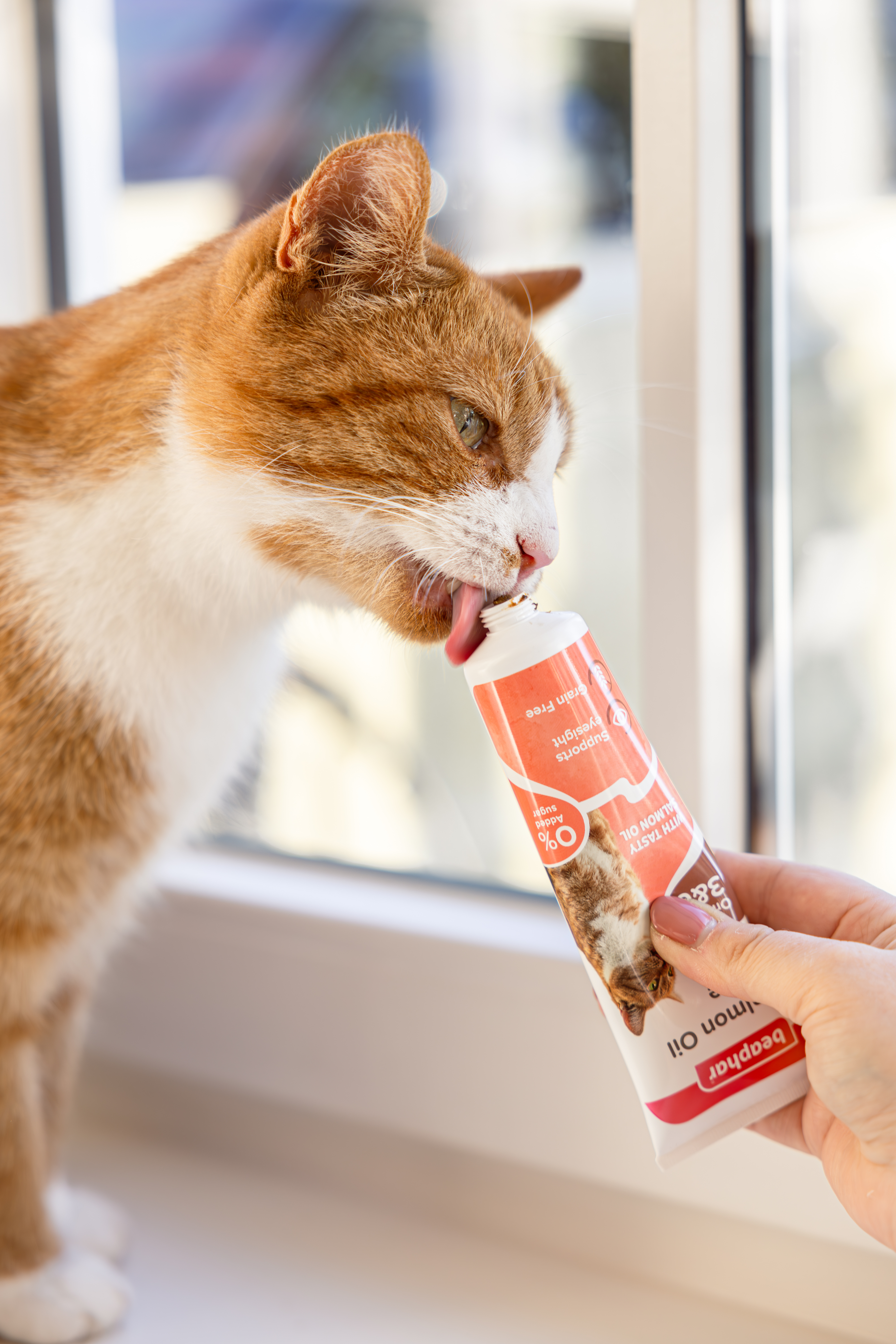 Lazacolajos paszta macskáknak