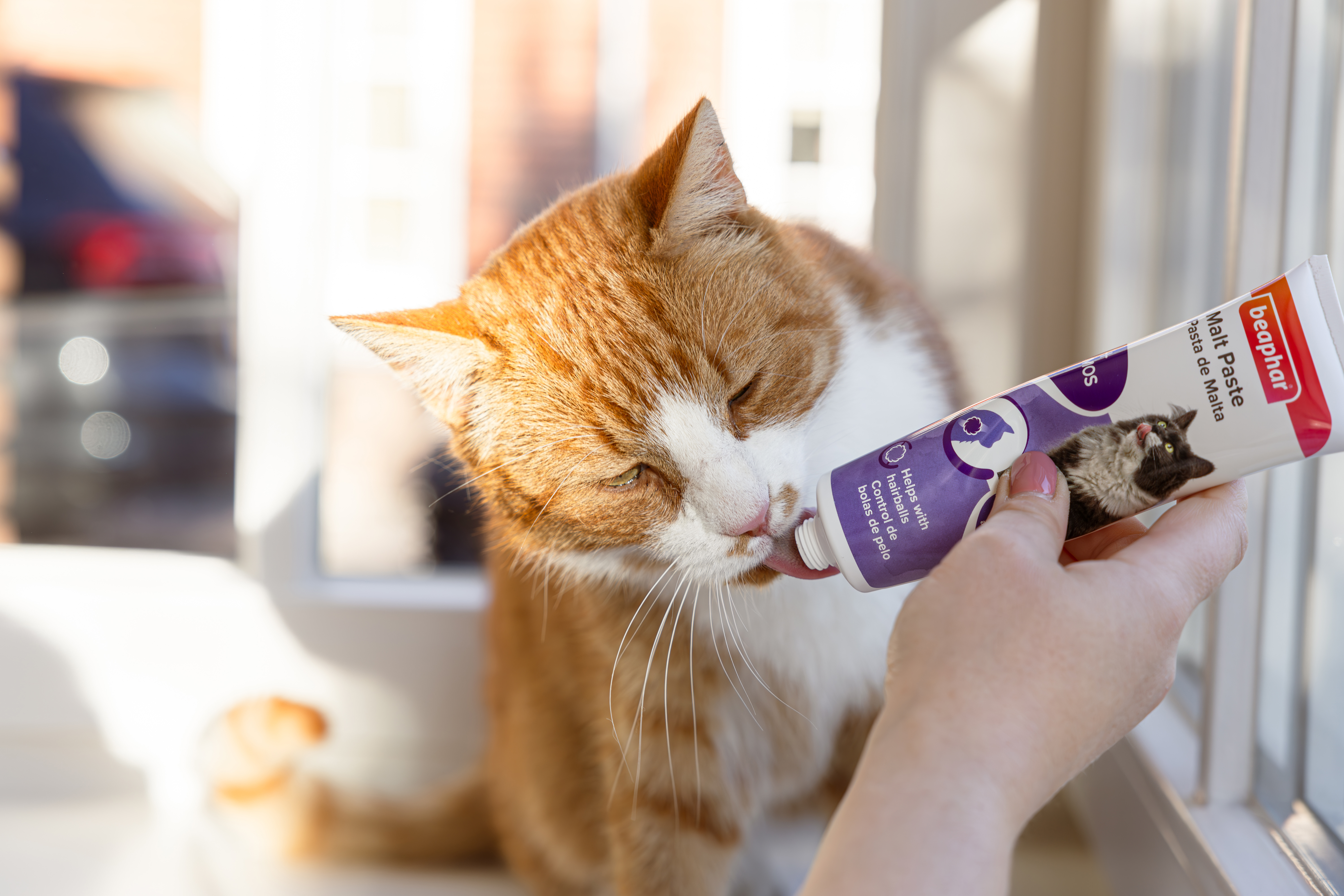 2in1 szőrlabda elleni malátás paszta macskáknak