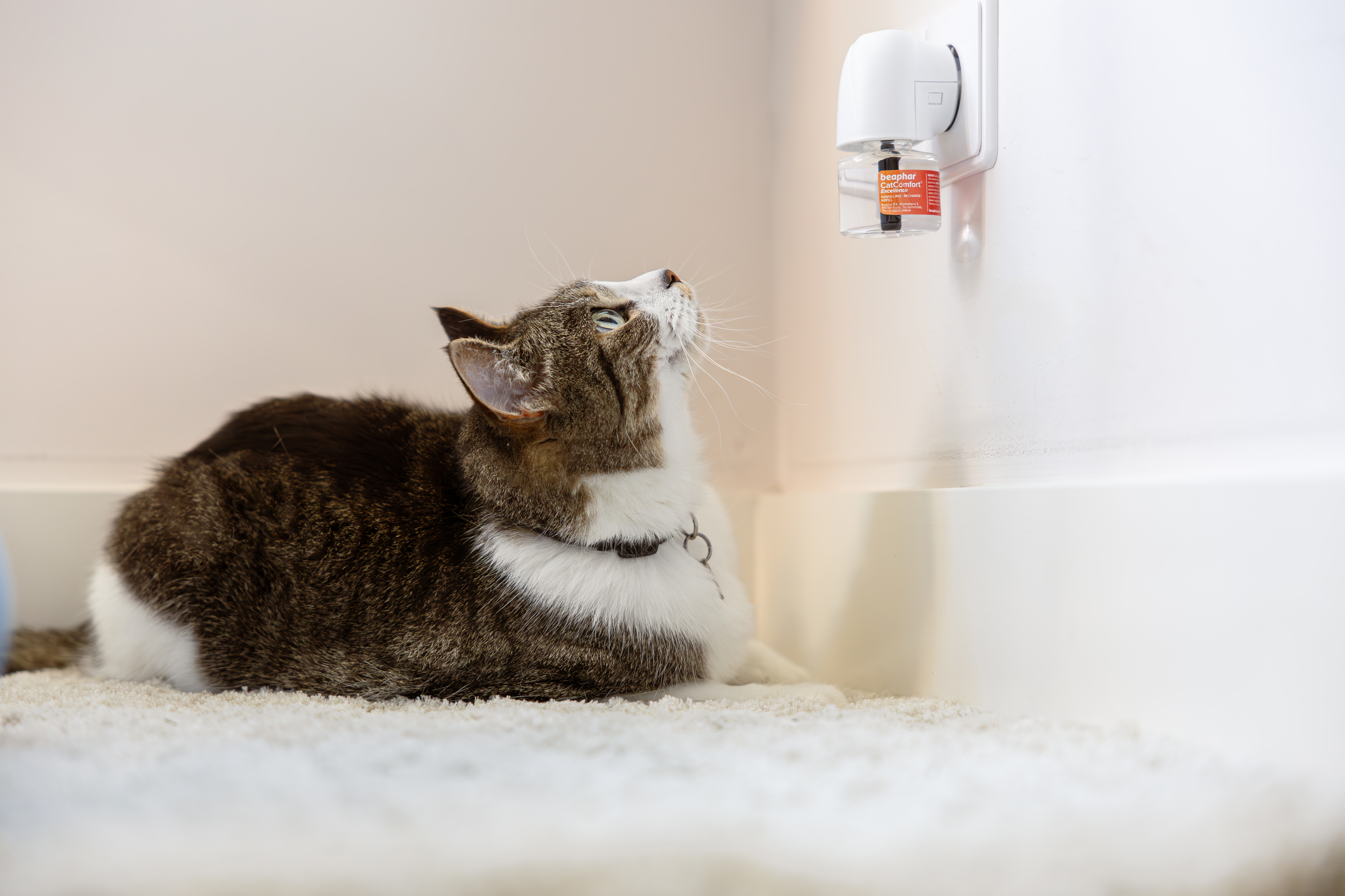 CatComfort® Excellence nyugtató hatású feromonos párologtató utántöltő