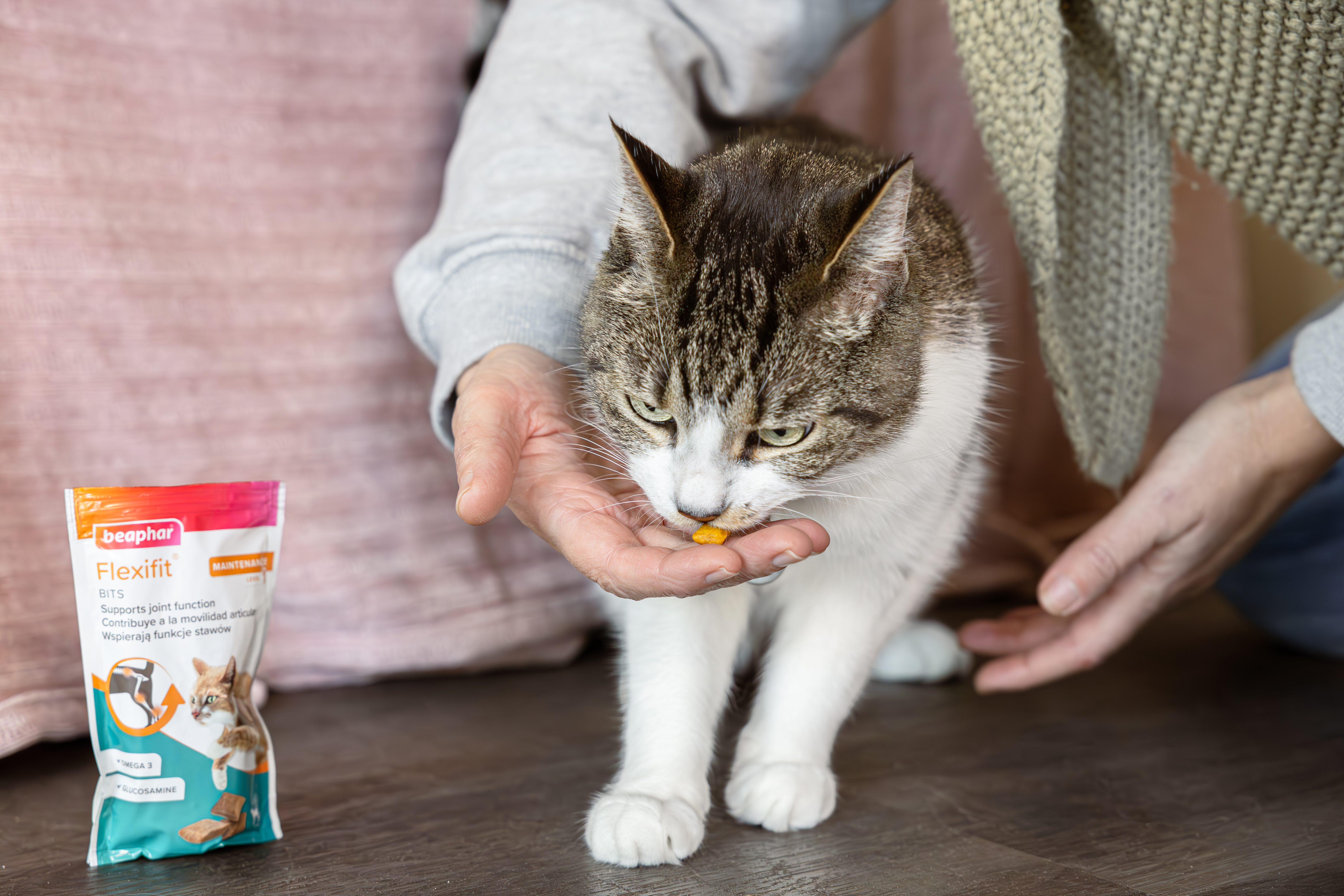 Flexifit® jutalomfalat macskáknak, 35g