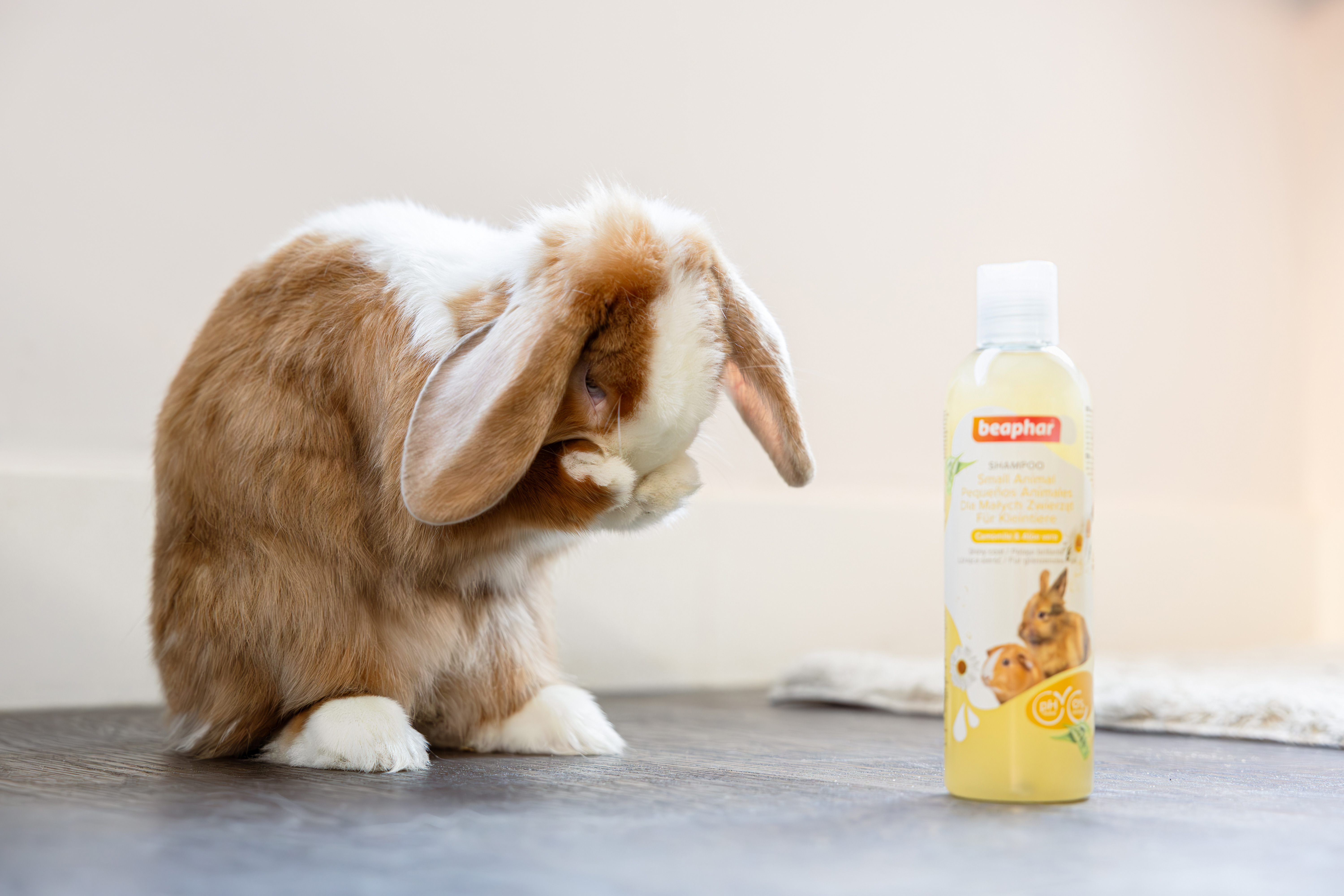 Sampon kisemlősöknek kamillával és aloe verával