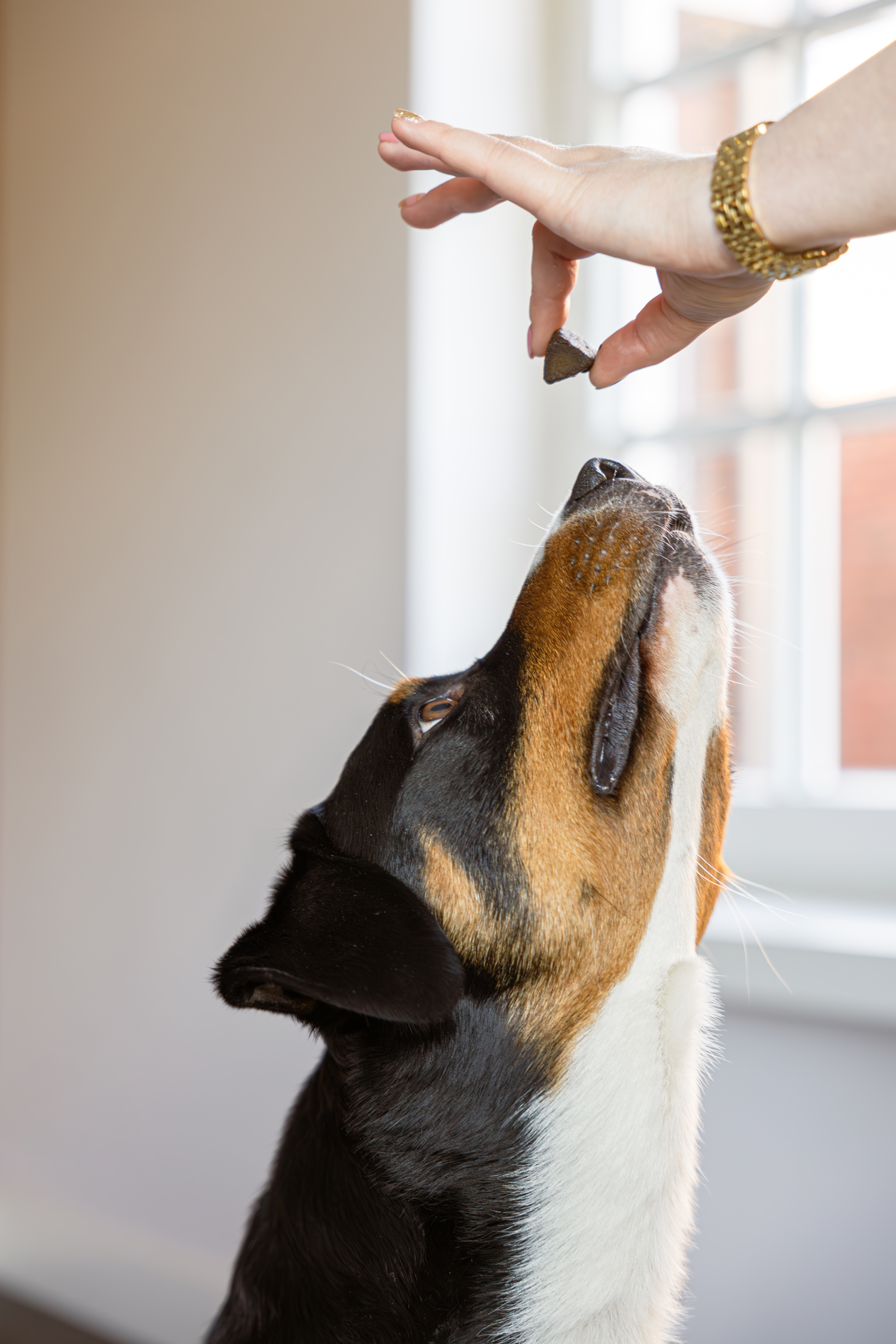 Flexifit® jutalomfalat