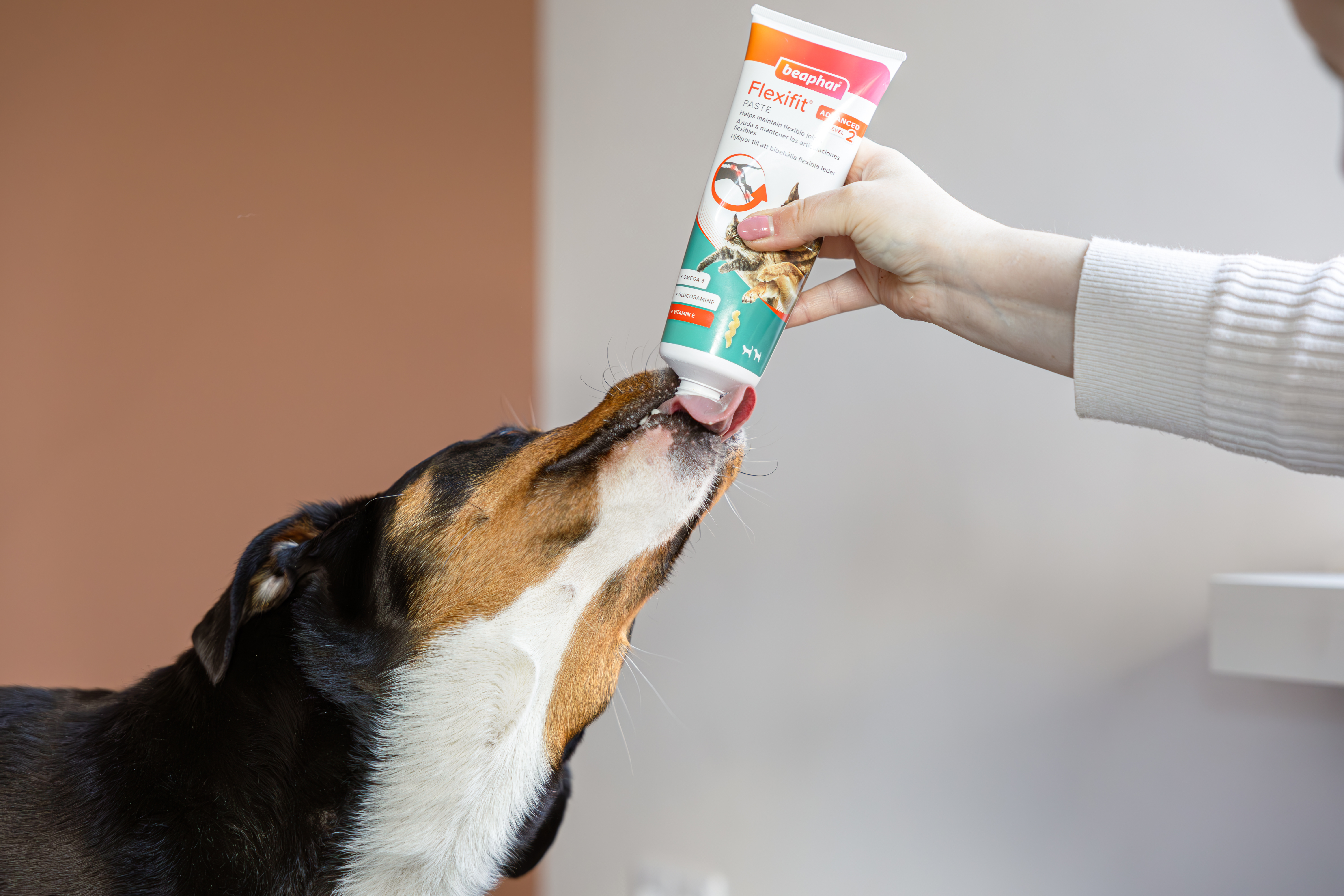 Flexifit® paszta kutyáknak és macskáknak