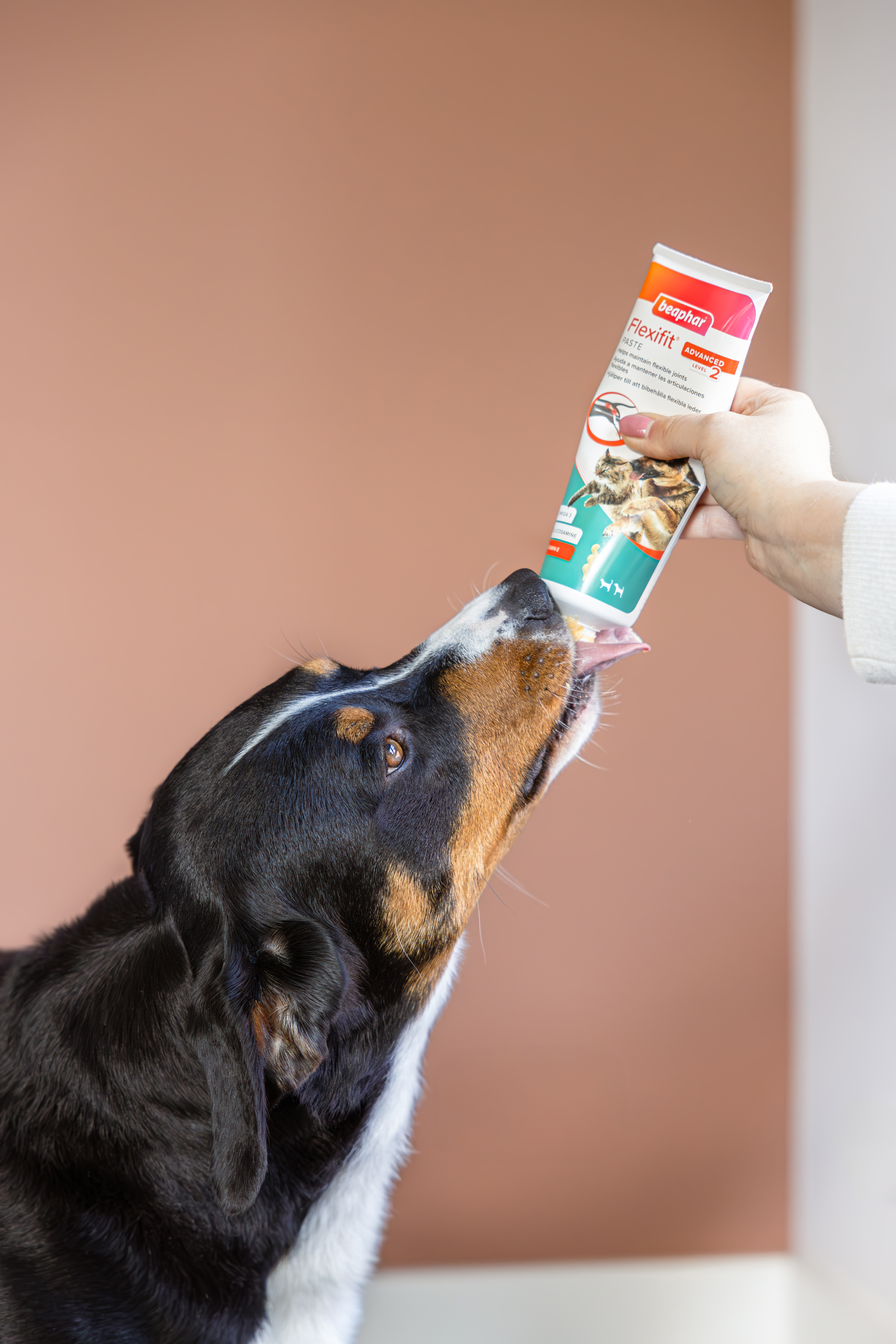 Flexifit® paszta kutyáknak és macskáknak