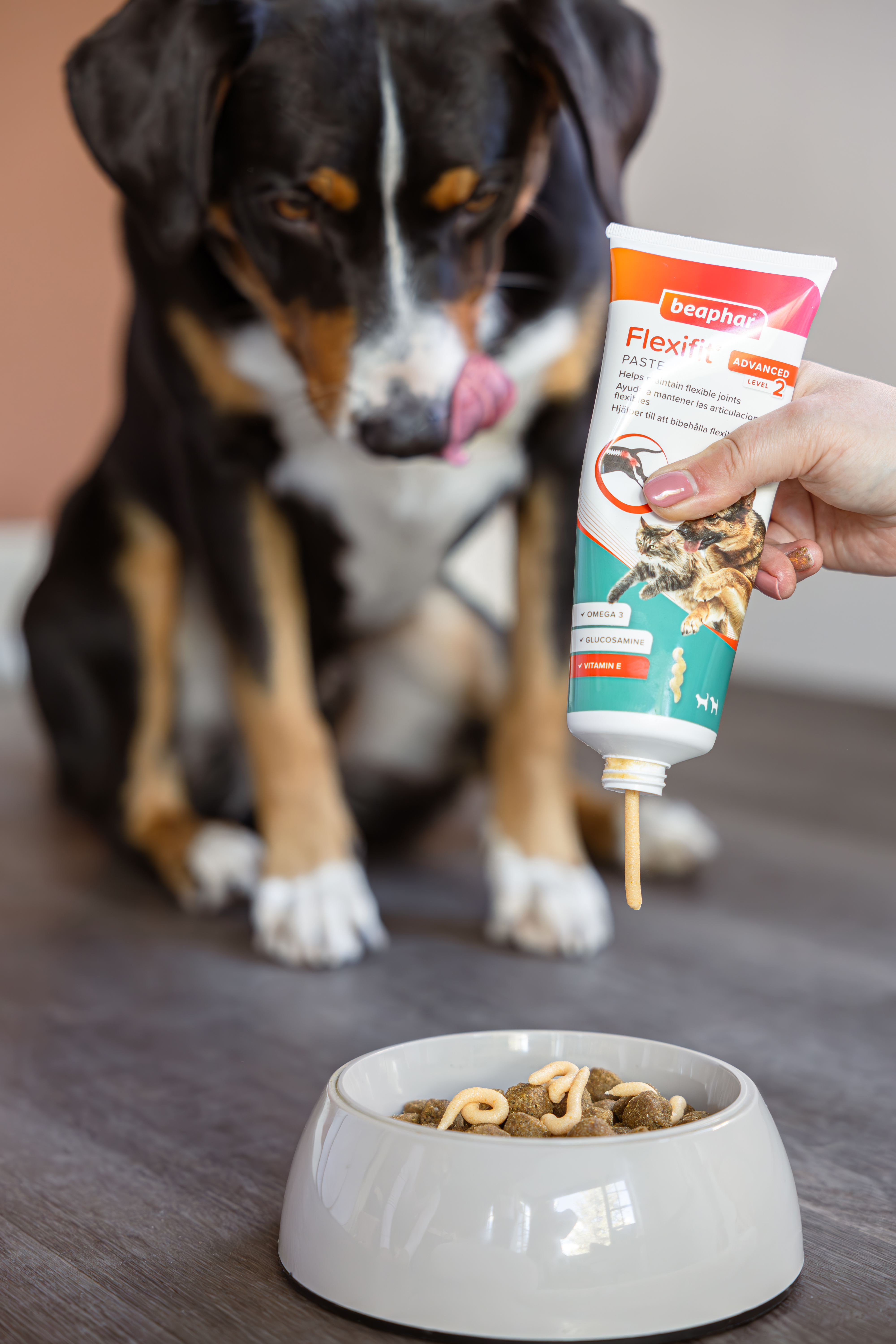 Flexifit® paszta kutyáknak és macskáknak