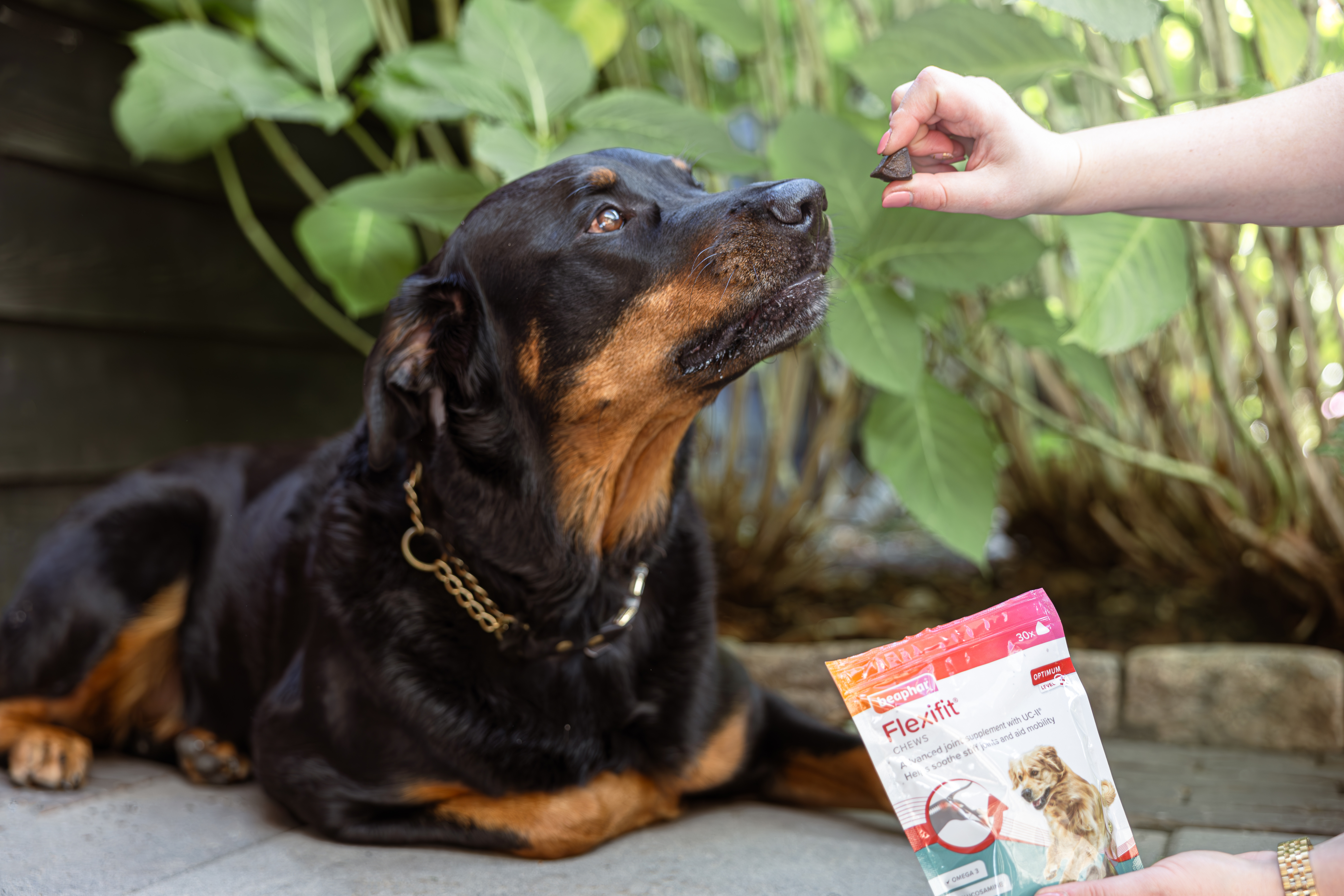 Flexifit® rágótabletta