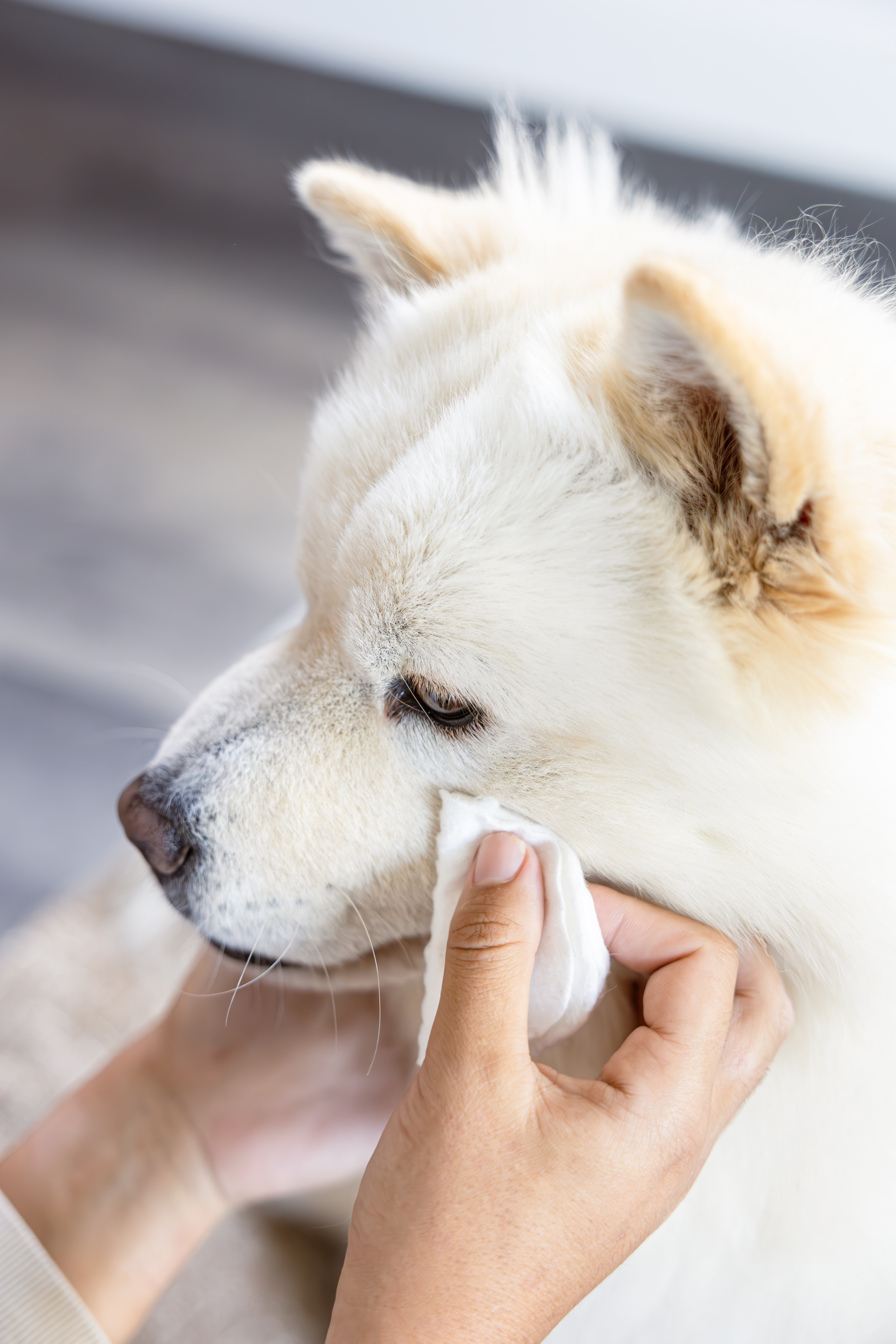 Könnyfolt eltávolító folyadék
