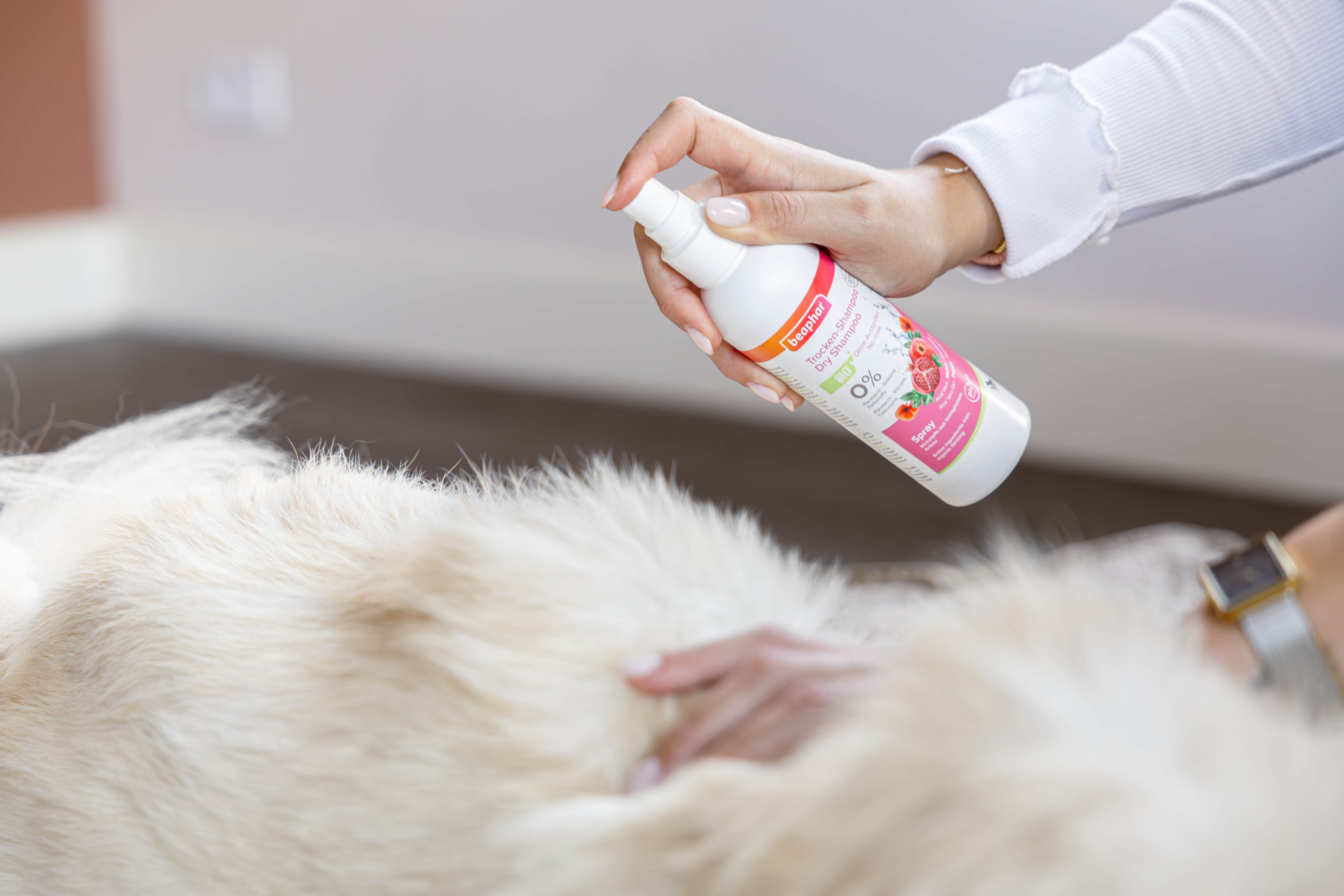 Bio organikus szárazsampon kutyáknak és macskáknak