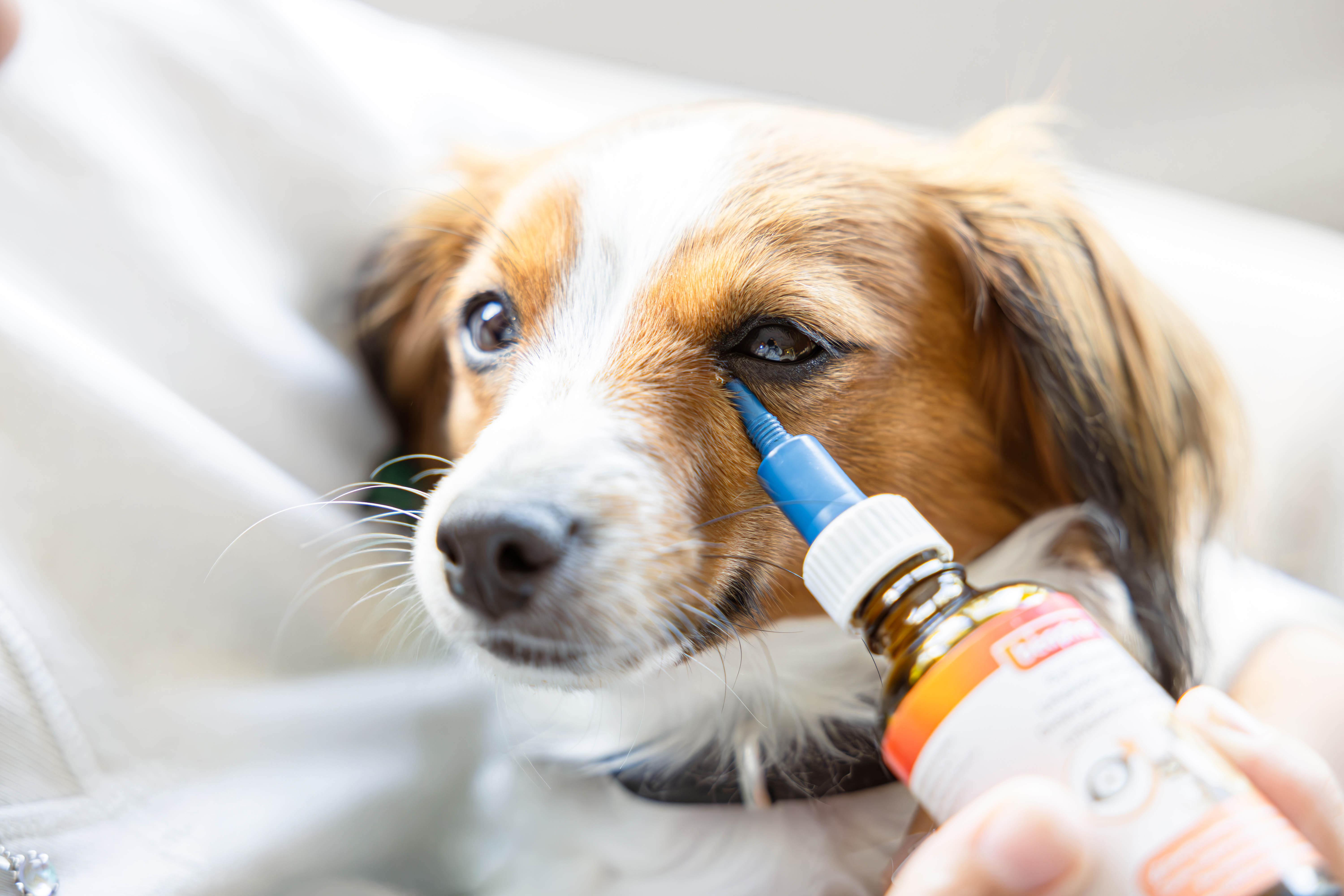 Szemtisztító folyadék