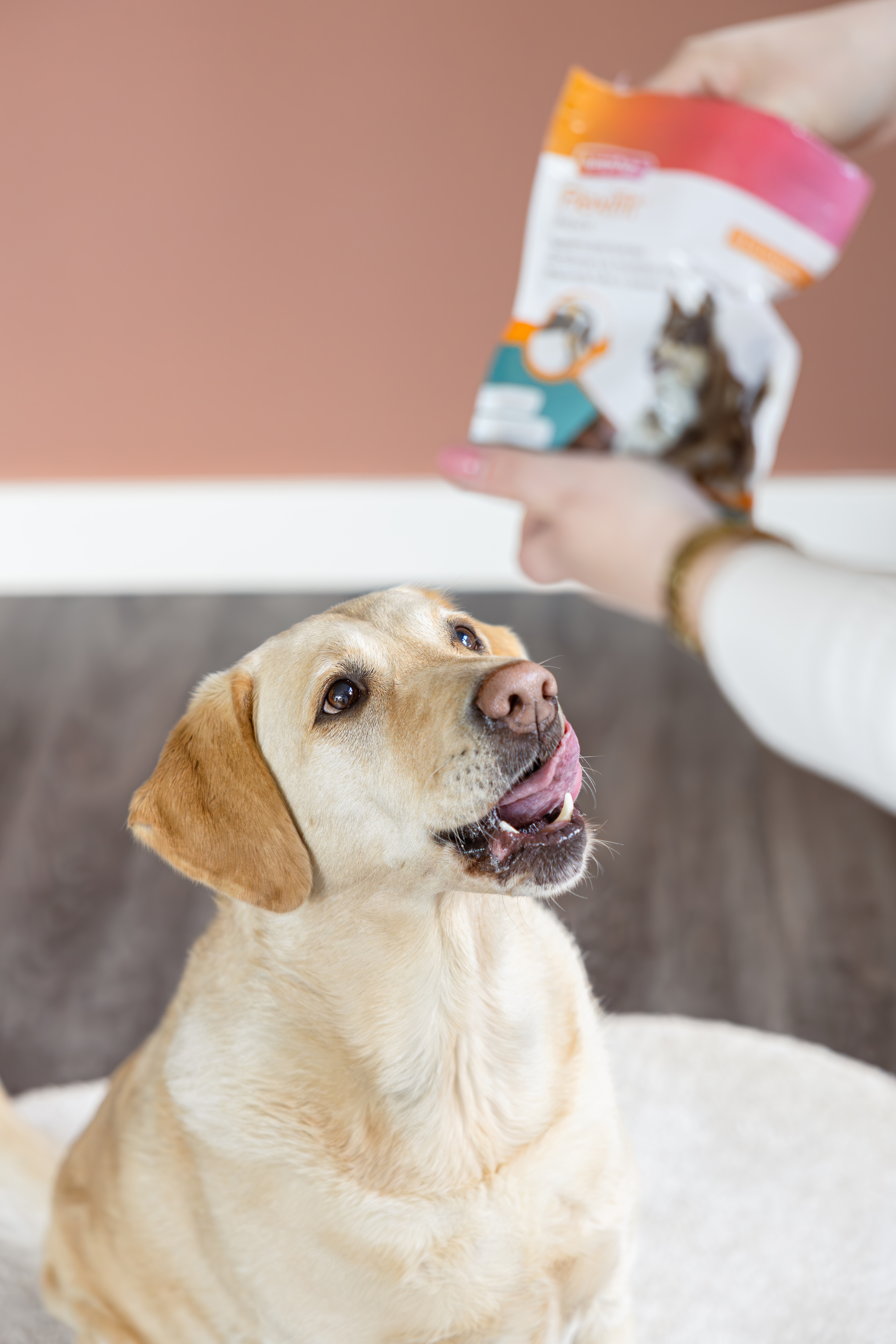 Flexifit® jutalomfalat