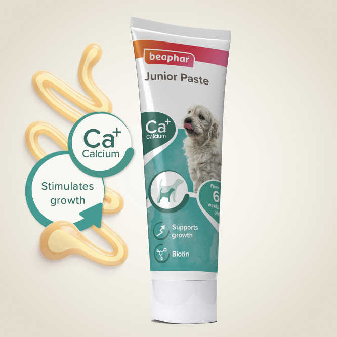Junior Pasta pro štěňata