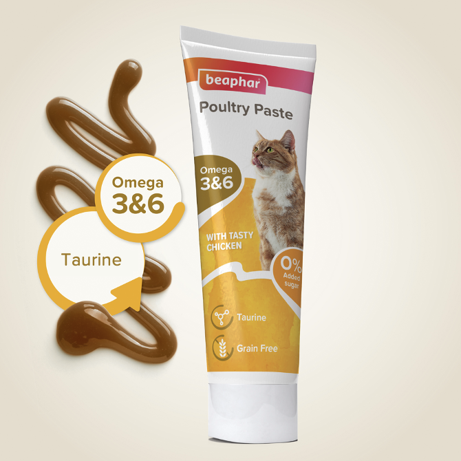 Chicken Pasta pro kočky