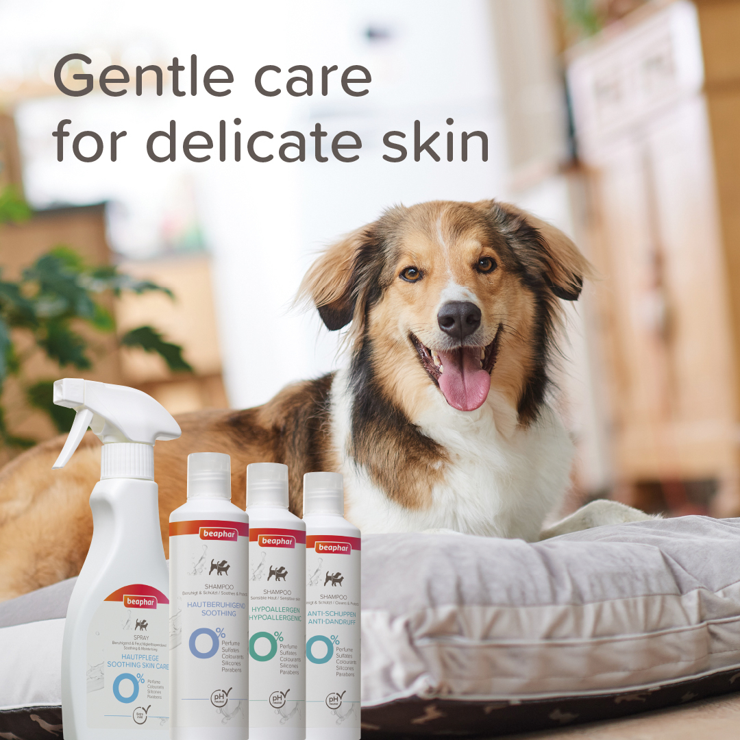 Beaphar Korpásodás elleni sampon, 250ml