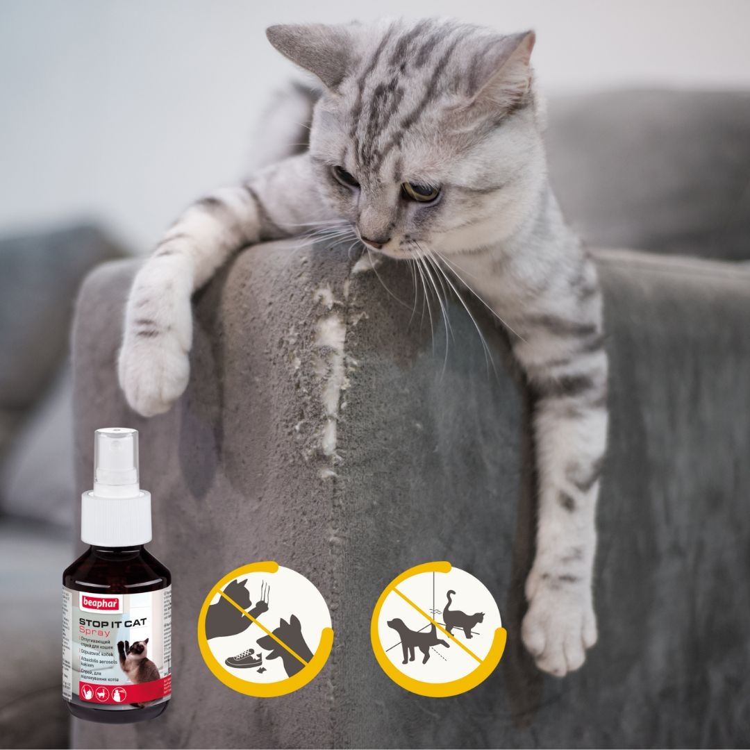 Stop-it kül- és beltéri nevelő spray macskáknak