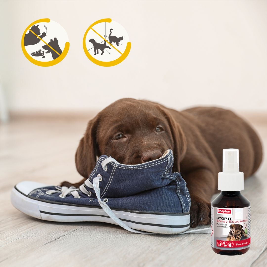 Stop-it kül- és beltéri nevelő spray kutyáknak