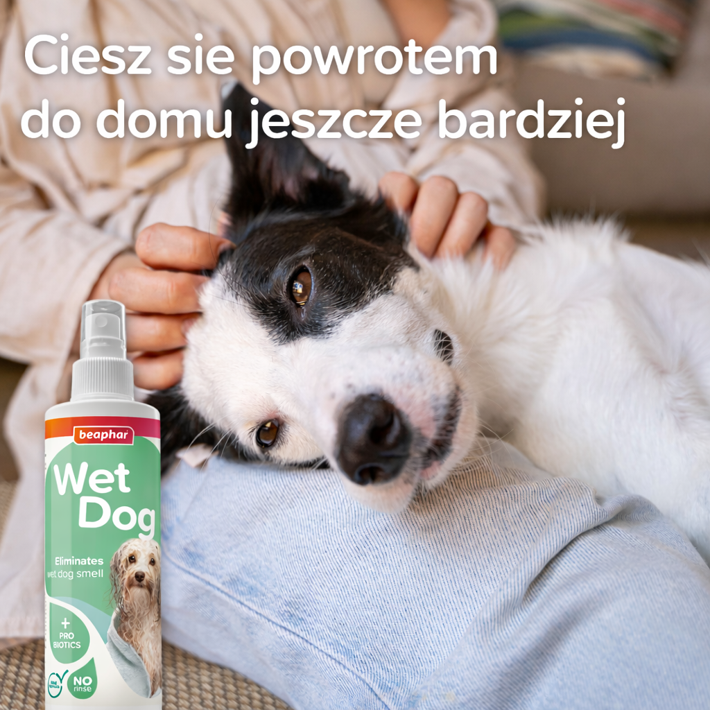 Wet Dog Spray 2025ml