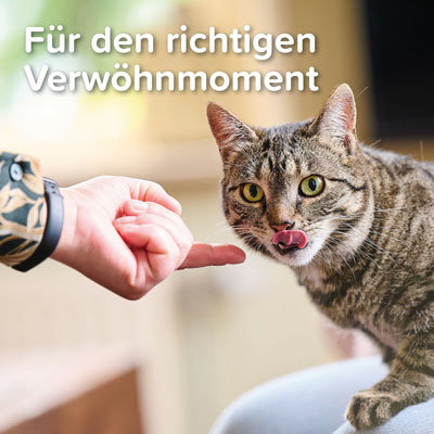 Lachsöl Paste, 100g