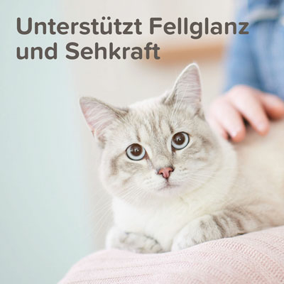 Lachsöl Paste, 100g