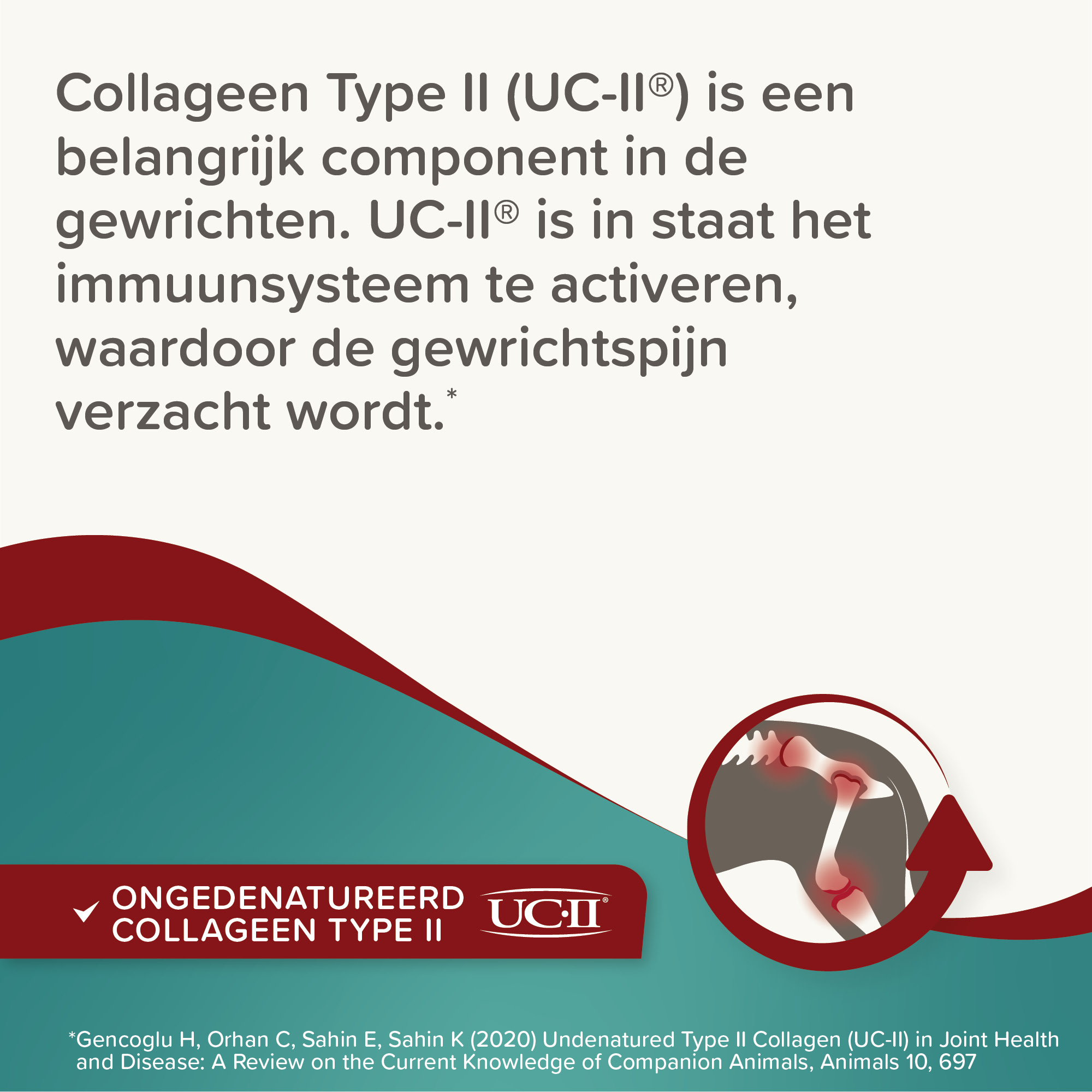 Beaphar Flexifit® Chews hond 175g