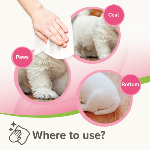 Beaphar Pet Wipes Sensitive