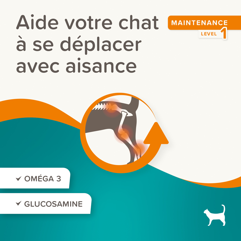 Flexifit®, Friandises articulations pour chat - 150g