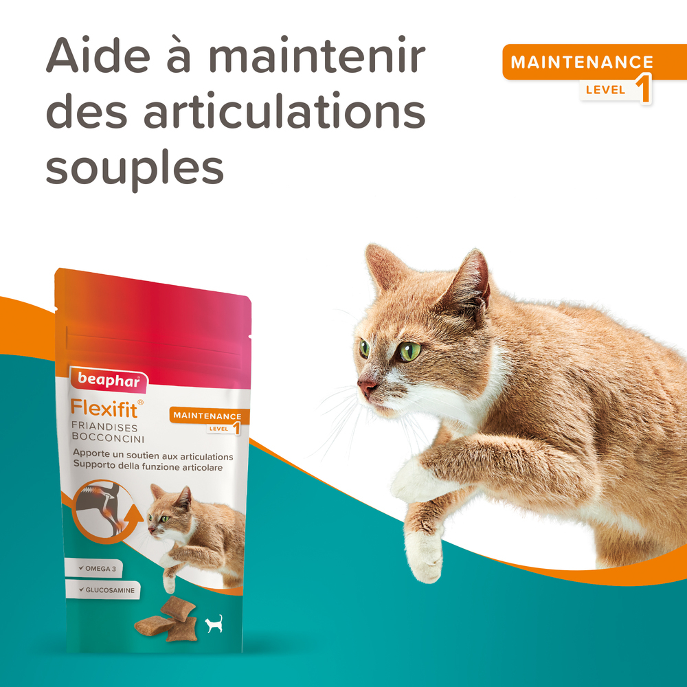 Flexifit®, Friandises articulations pour chat - 150g