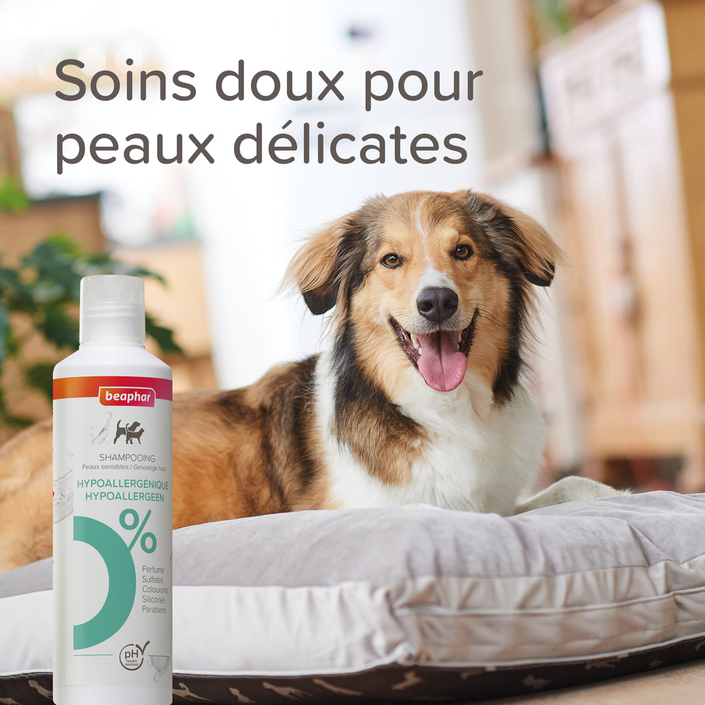 Gamme EXPERTS, Shampooing Hypoallergénique pour chien et chat - 250 ml