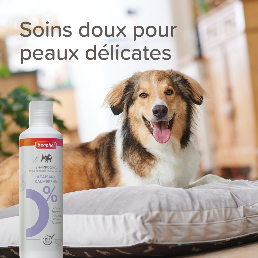 Gamme EXPERTS, Shampooing Apaisant pour chien et chat - 250 ml