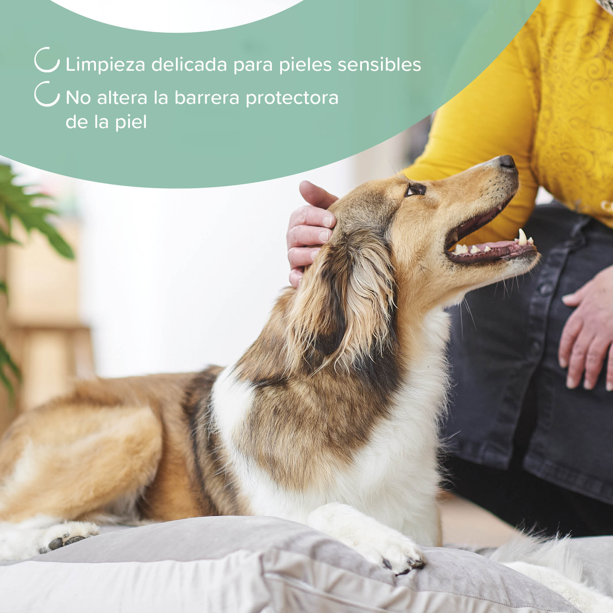 Beaphar Champú Hipoalergénico Perros y Gatos - 250ml