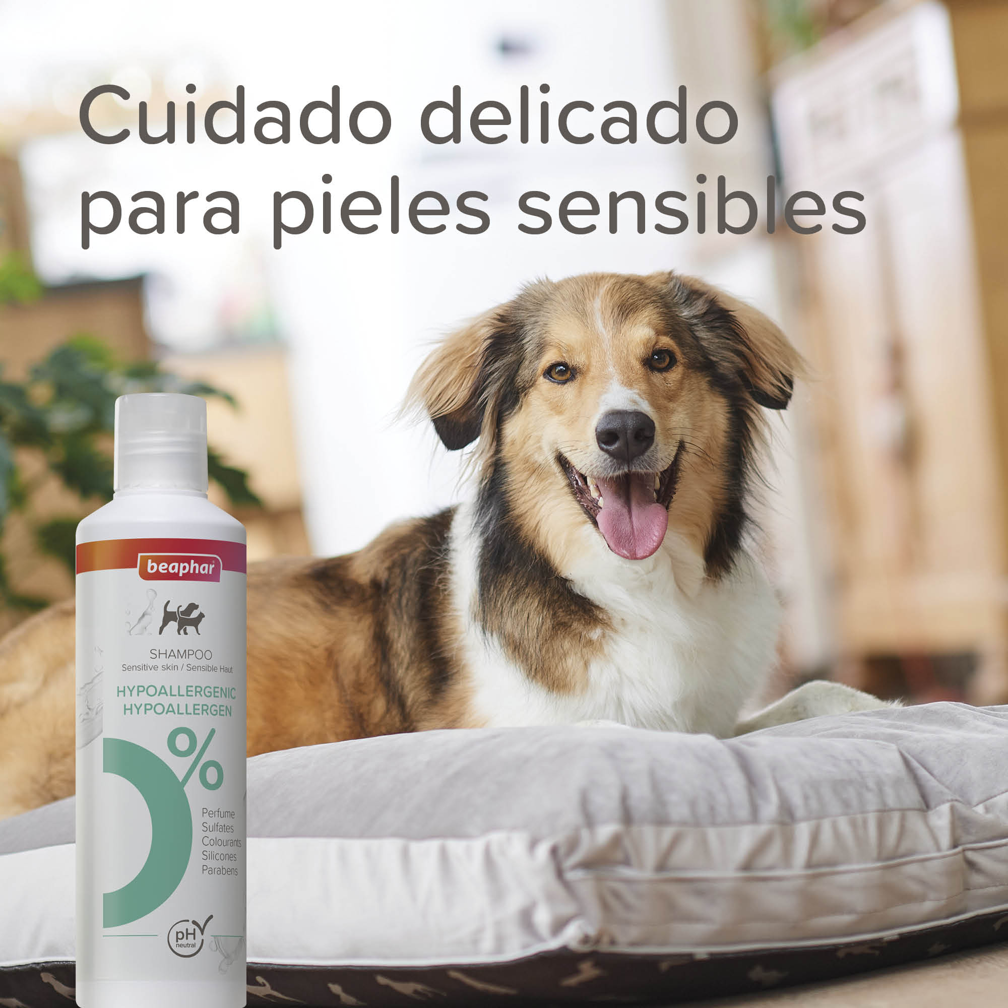 Beaphar Champú Hipoalergénico Perros y Gatos - 250ml