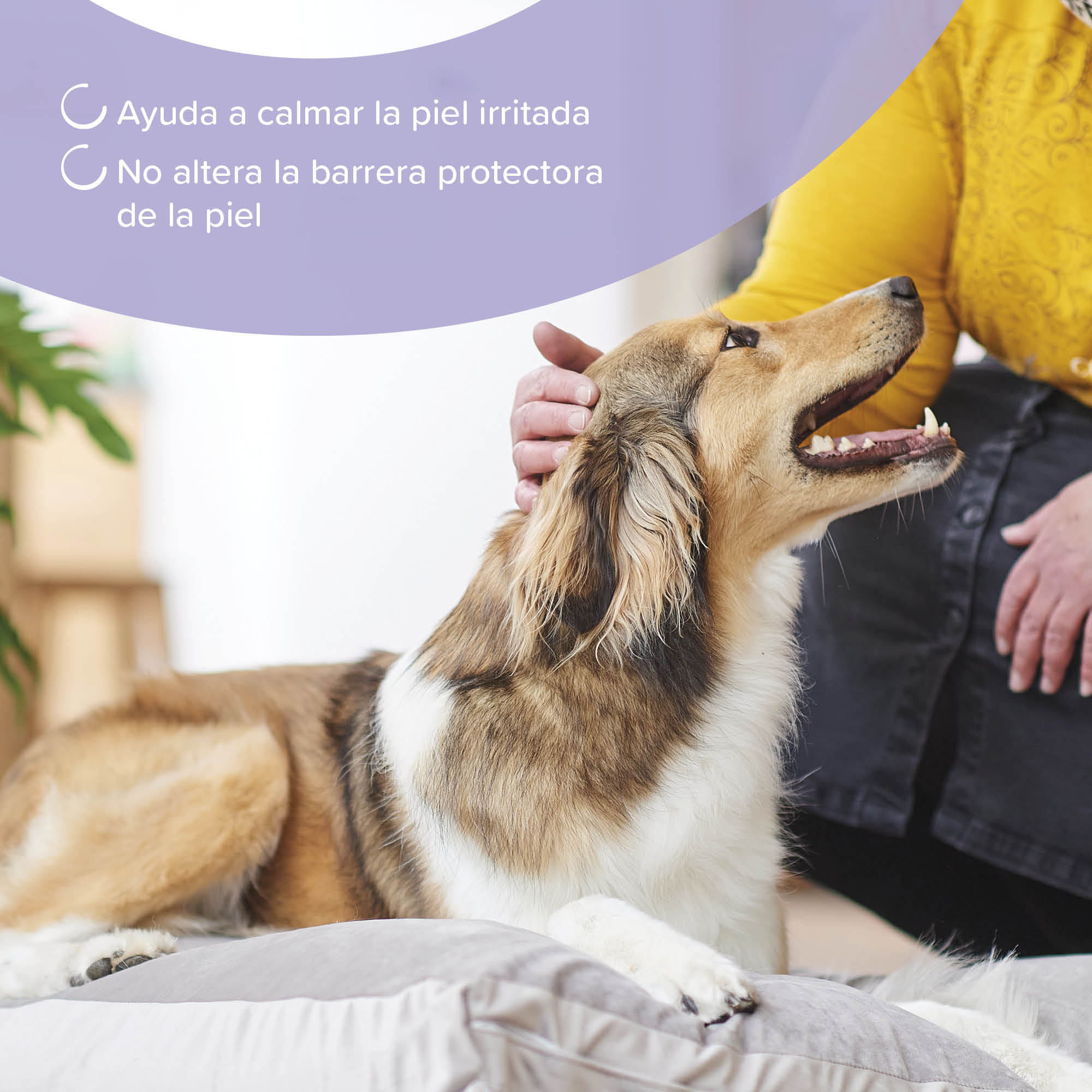 Beaphar Champú Calmante Perros y Gatos - 250ml