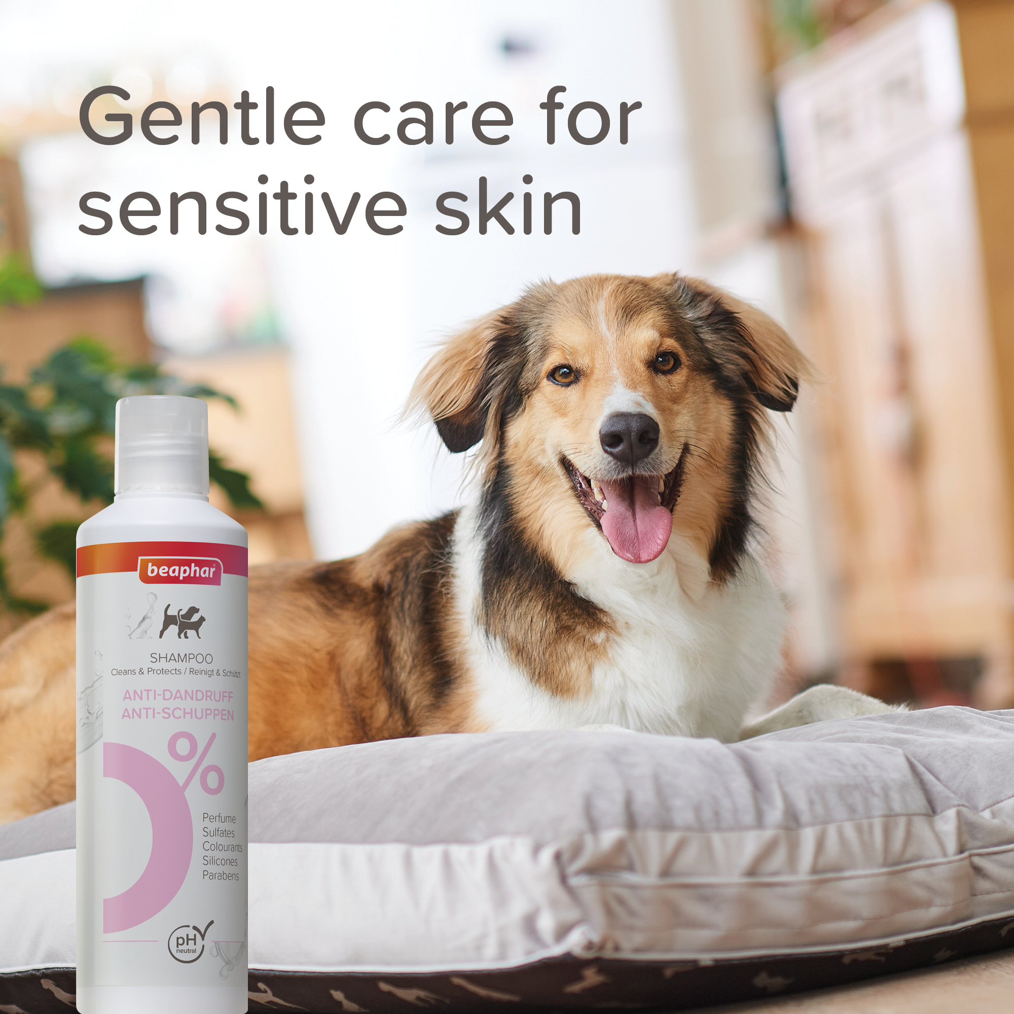Beaphar Sensitive Skincare Anti-Dandruff Shampoo - 250ml