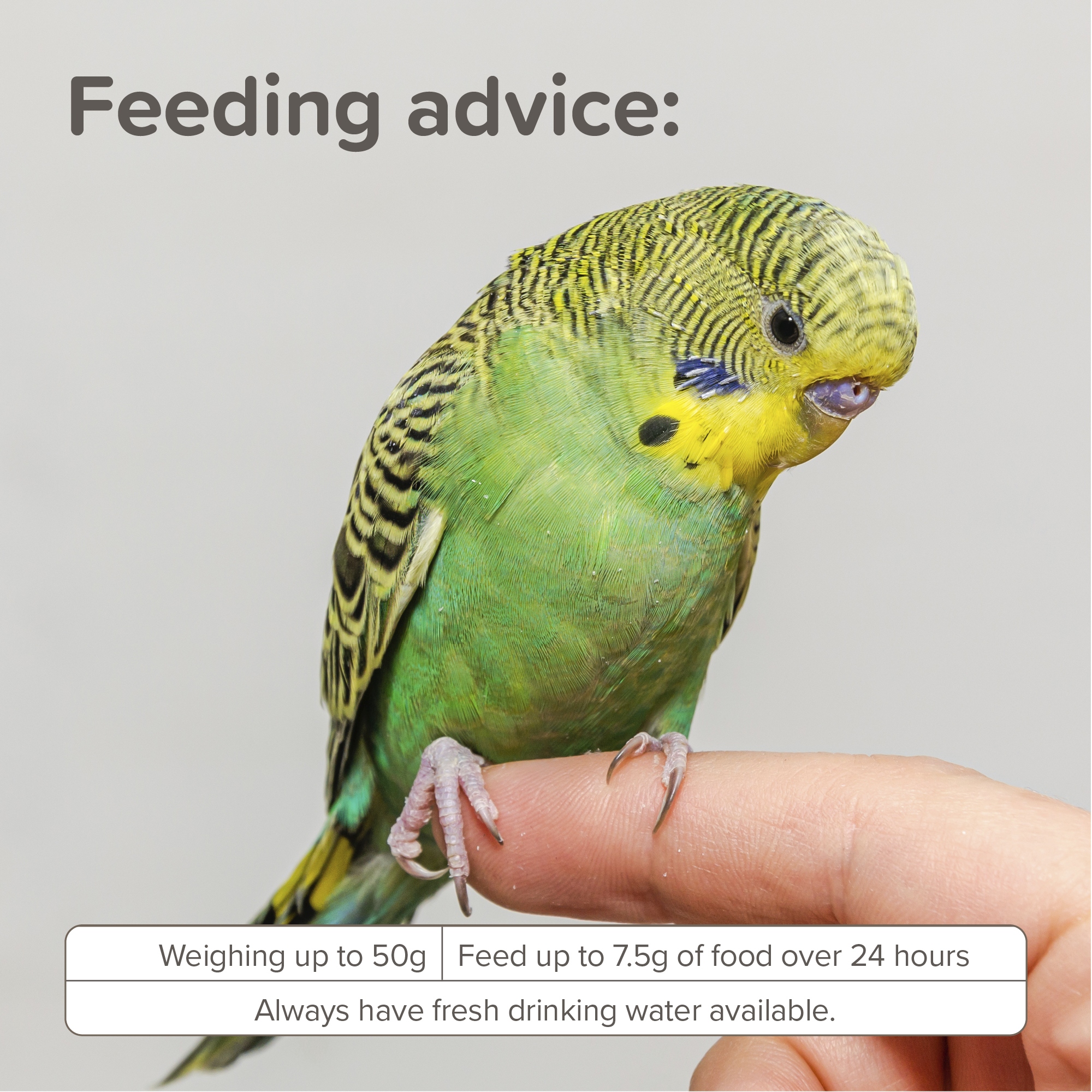 Beaphar XtraVital Parakeet Complete Bird Food - 500g