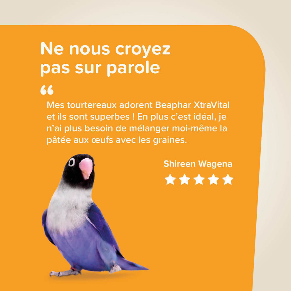 Beaphar XtraVital Alimentation complète pour Perroquets - 3 kg