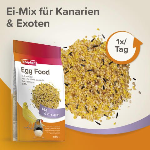 Beaphar Ei-Mix für Kanarien & Exoten, 150g