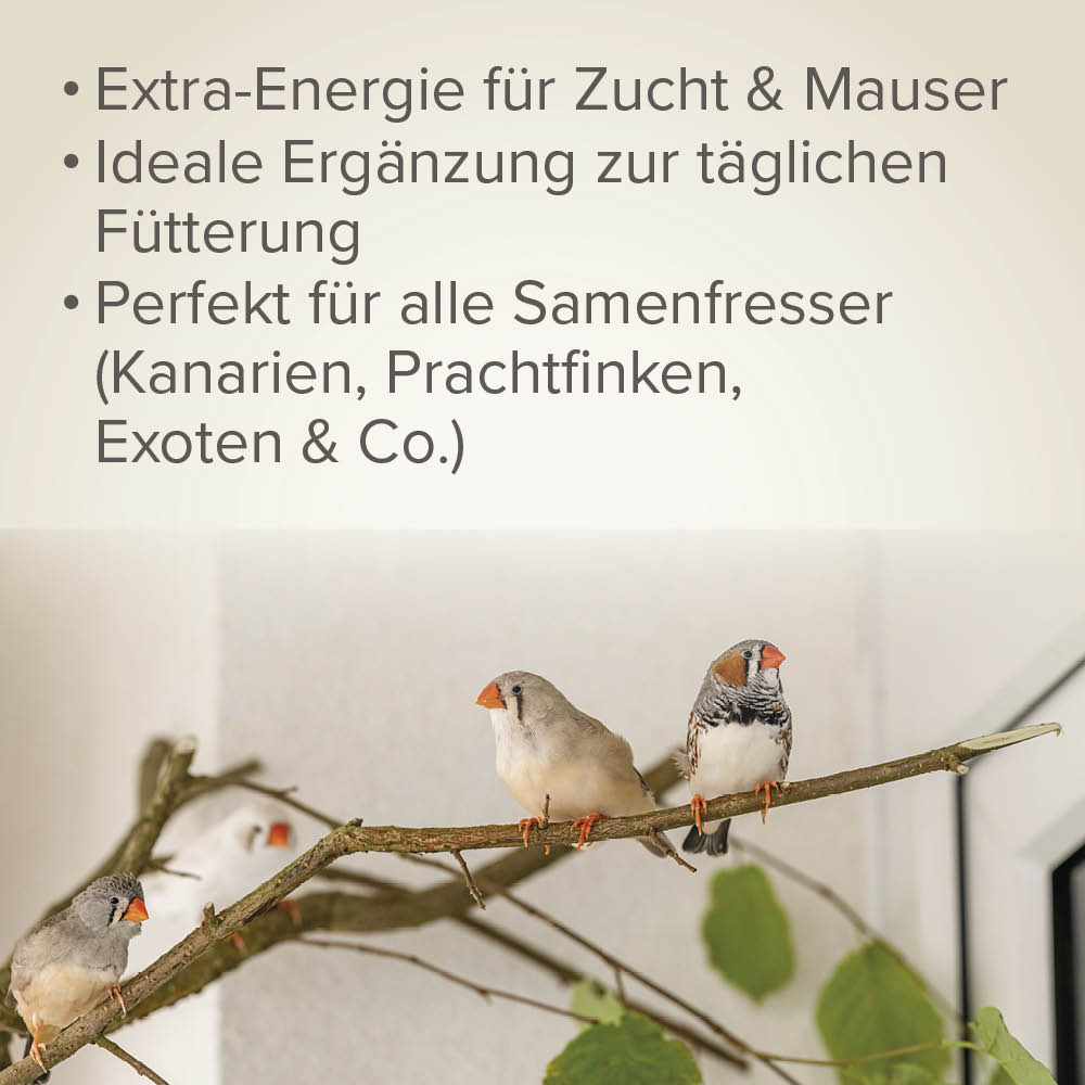 Beaphar Ei-Mix für Kanarien & Exoten, 1kg