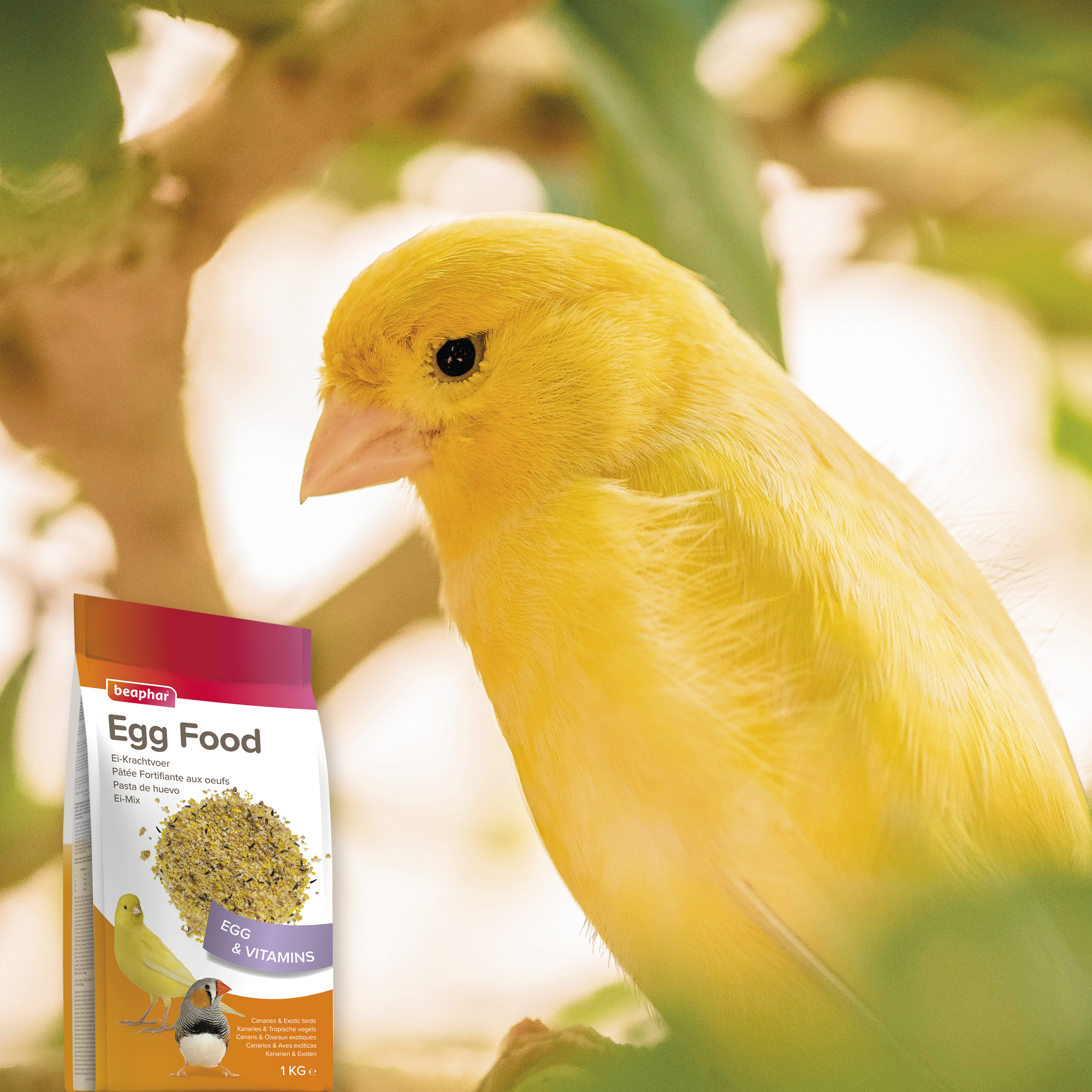 Beaphar Egg Food for Canaries & Exotic Birds – 1kg