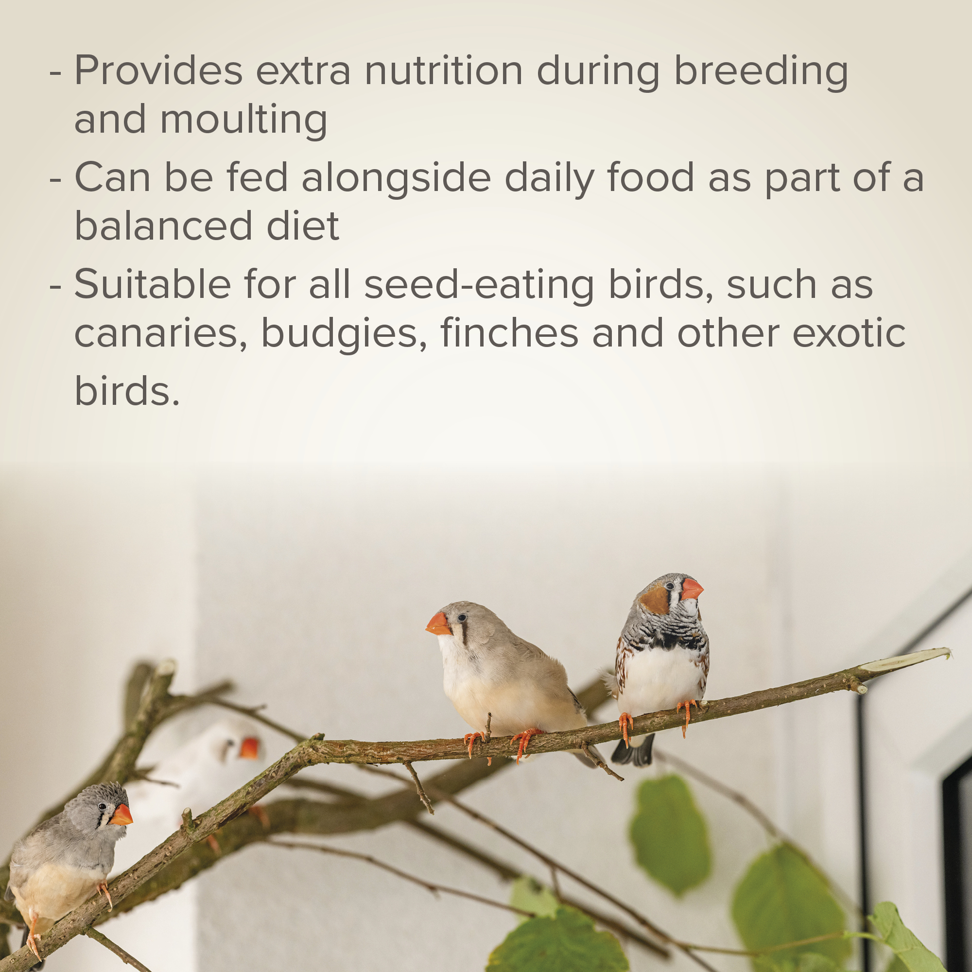Beaphar Egg Food for Canaries & Exotic Birds – 1kg