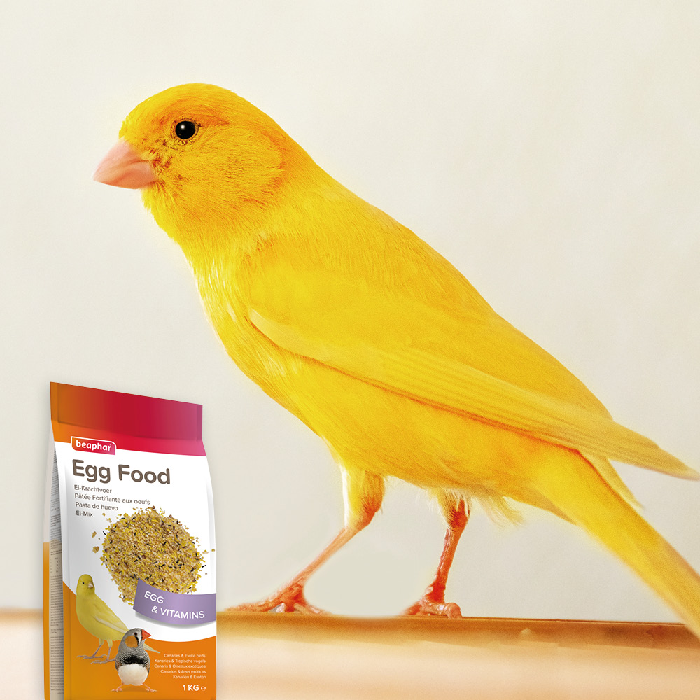 Beaphar Eikrachtvoer kanaries & tropische vogels 1kg