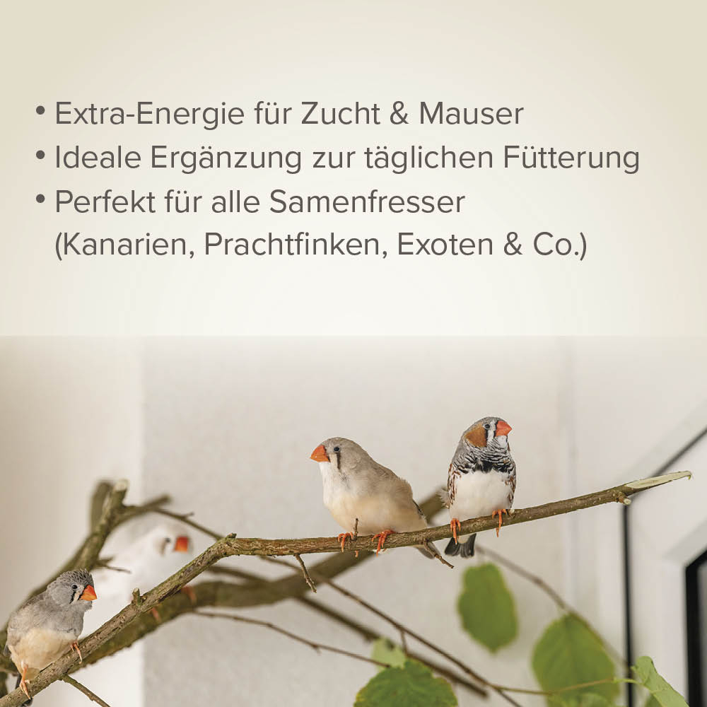 Beaphar Ei-Mix für Sittiche & Papageien, 1kg