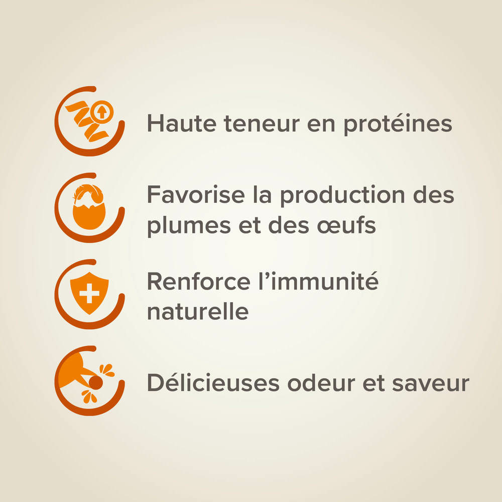Egg Food, Pâtée fortifiante aux oeufs, Perruches et Perroquets - 1kg