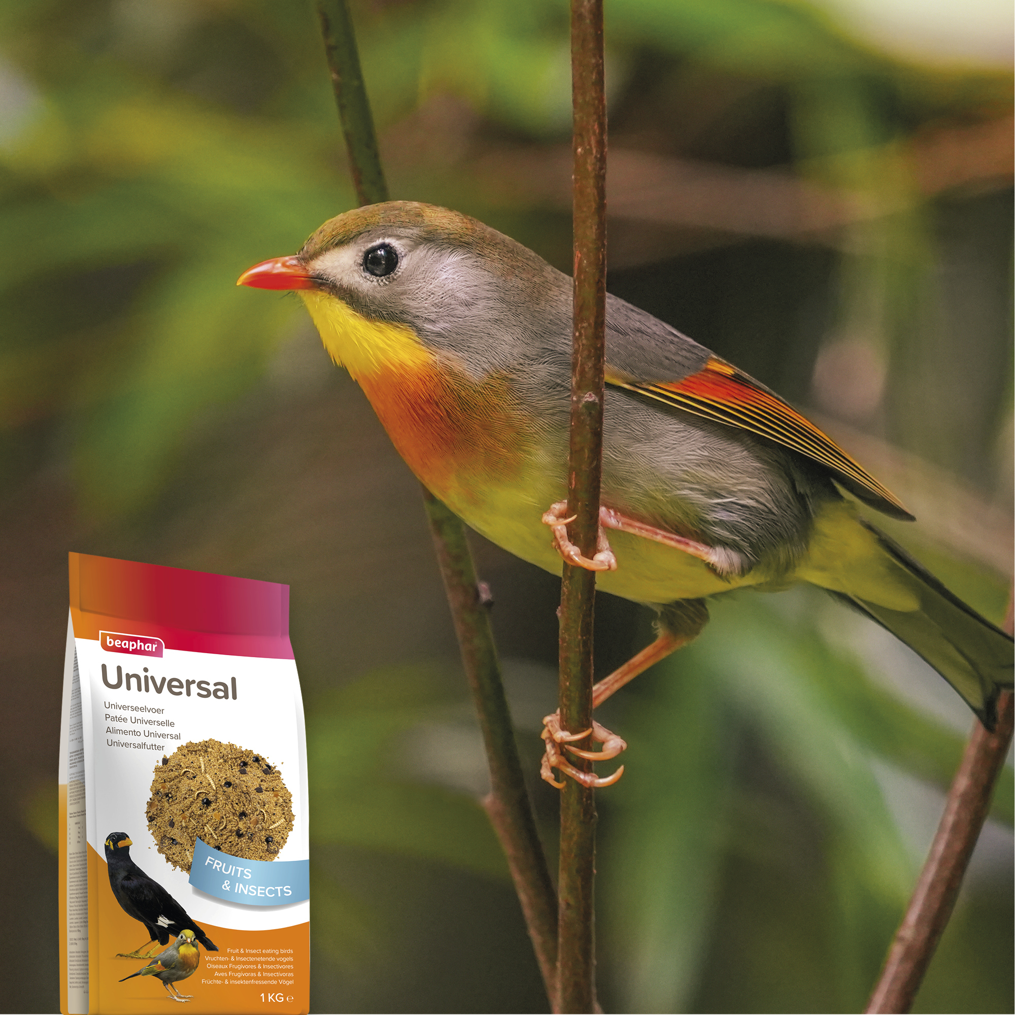 Beaphar Universal Food for Softbill Birds – 1kg