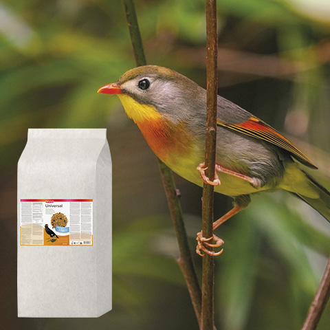 Beaphar Universalfutter, 10kg